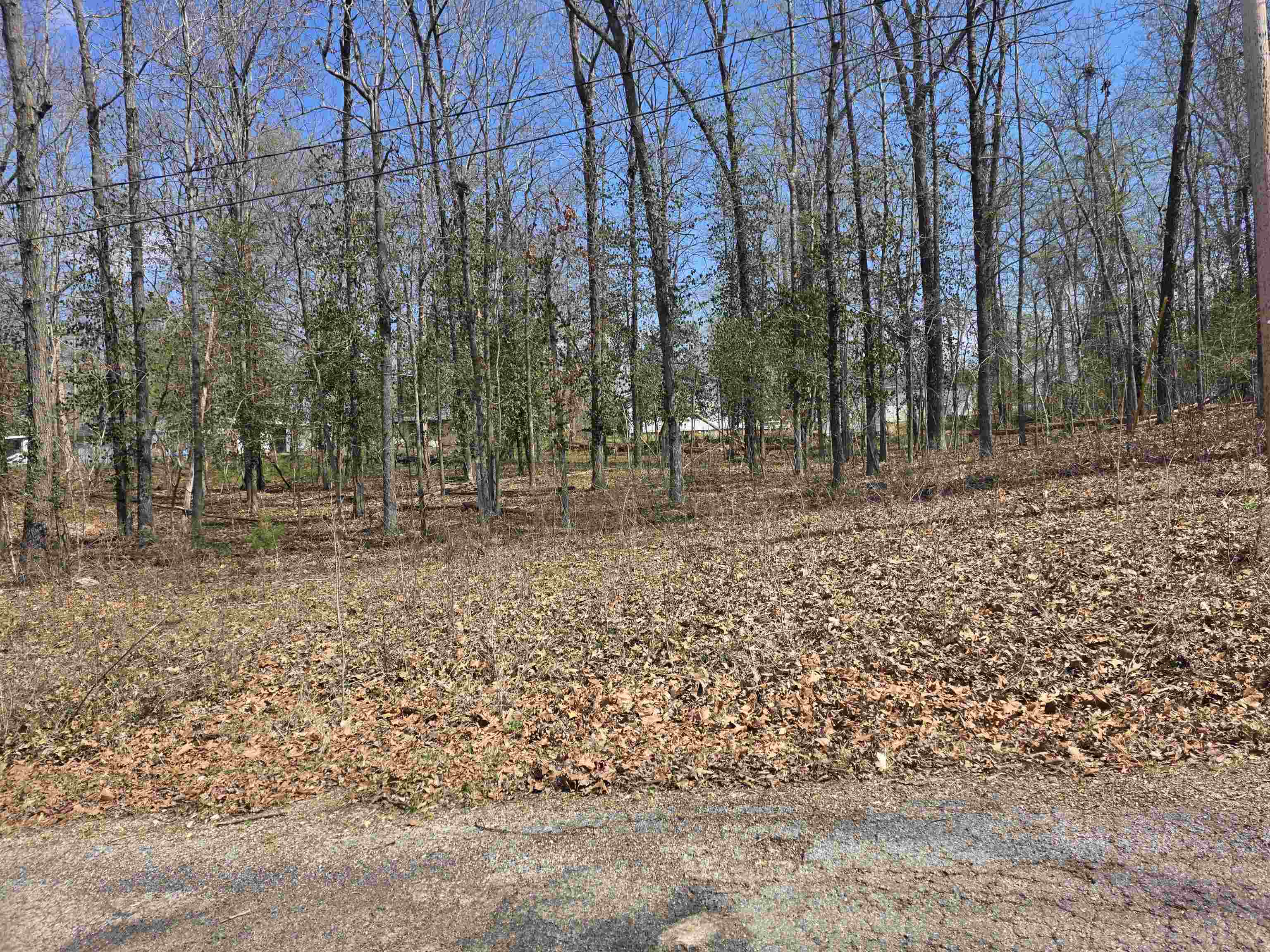 Photo 5 - Vacant Land for sale – L23 B1  Apache   Cherokee Village, AR