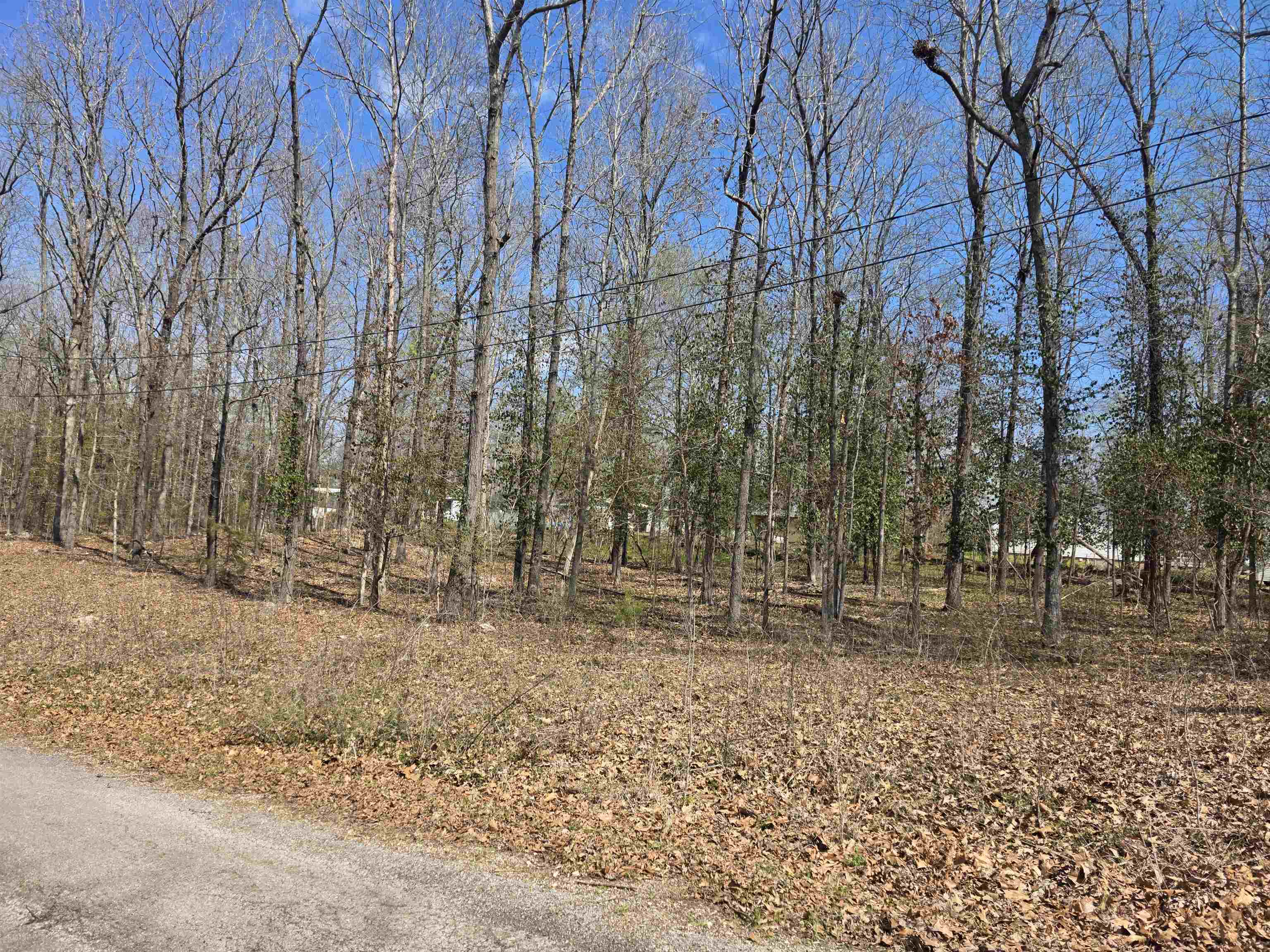 Photo 6 - Vacant Land for sale – L23 B1  Apache   Cherokee Village, AR