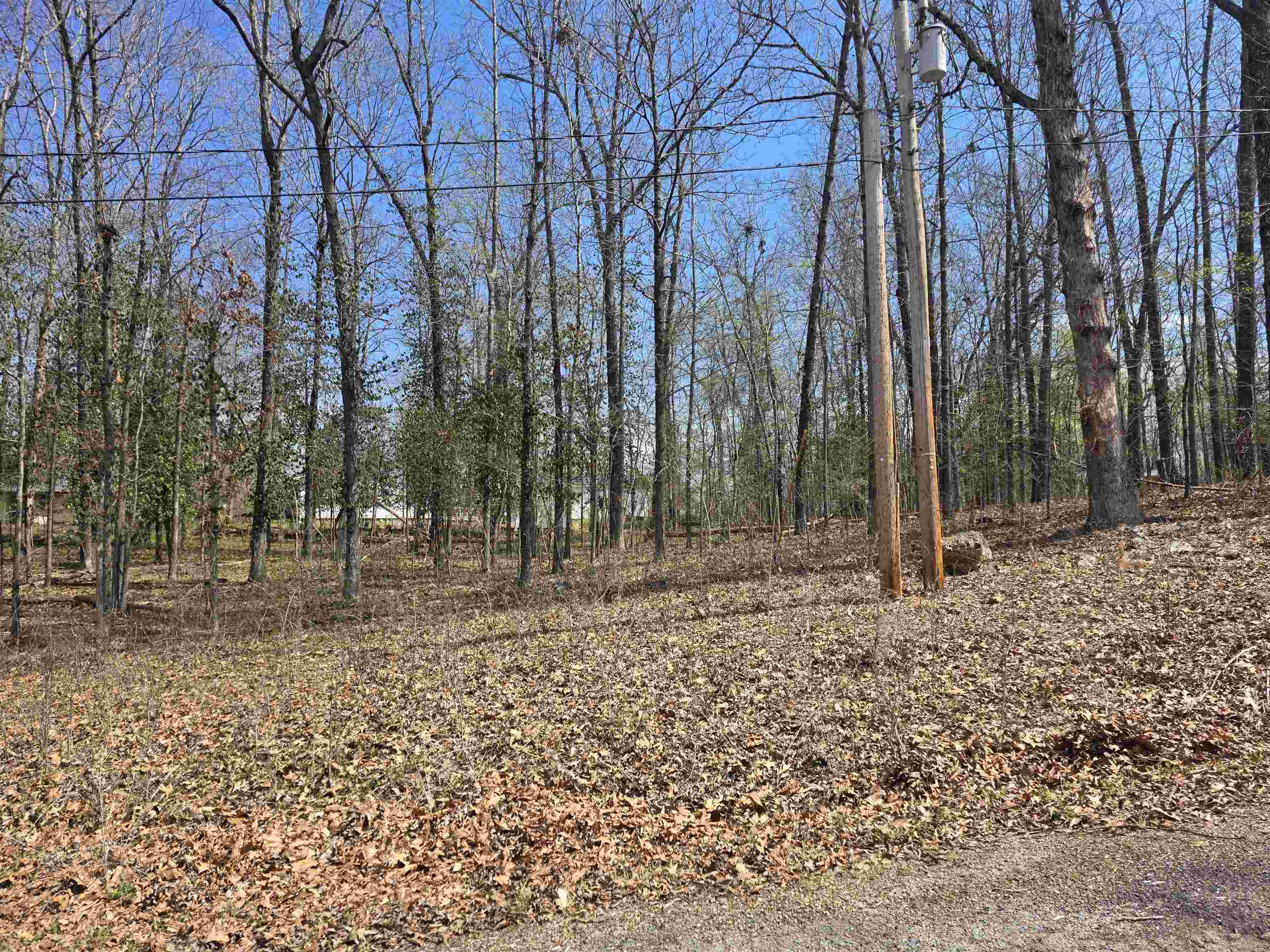 Photo 7 - Vacant Land for sale – L23 B1  Apache   Cherokee Village, AR