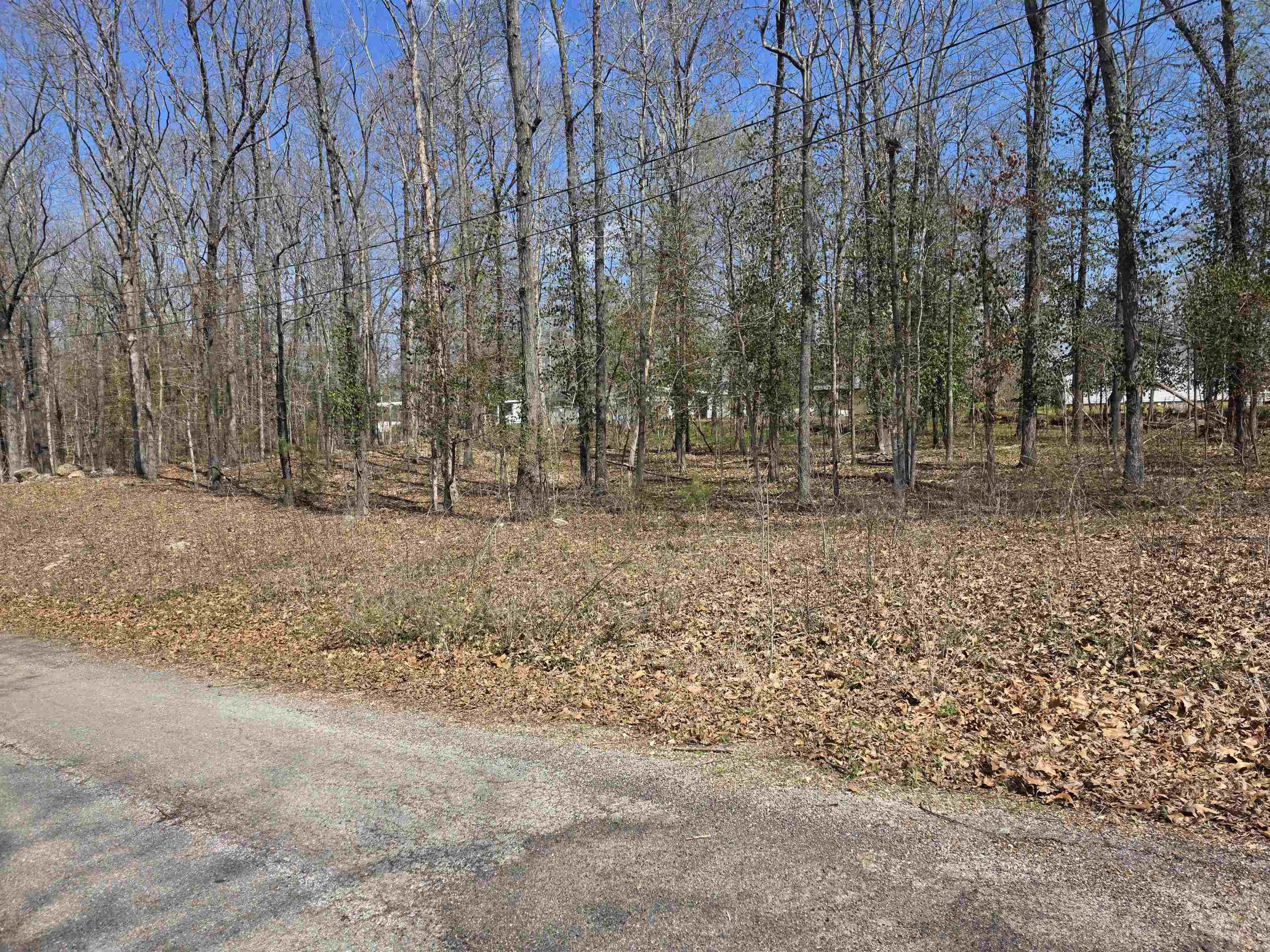 Photo 8 - Vacant Land for sale – L23 B1  Apache   Cherokee Village, AR