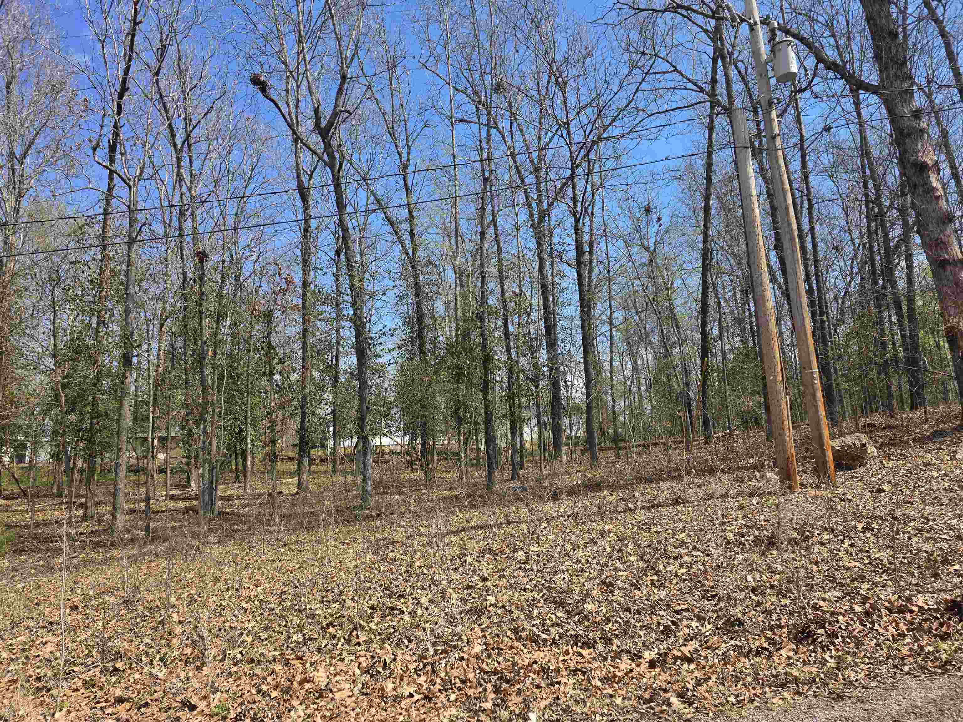 Photo 10 - Vacant Land for sale – L23 B1  Apache   Cherokee Village, AR