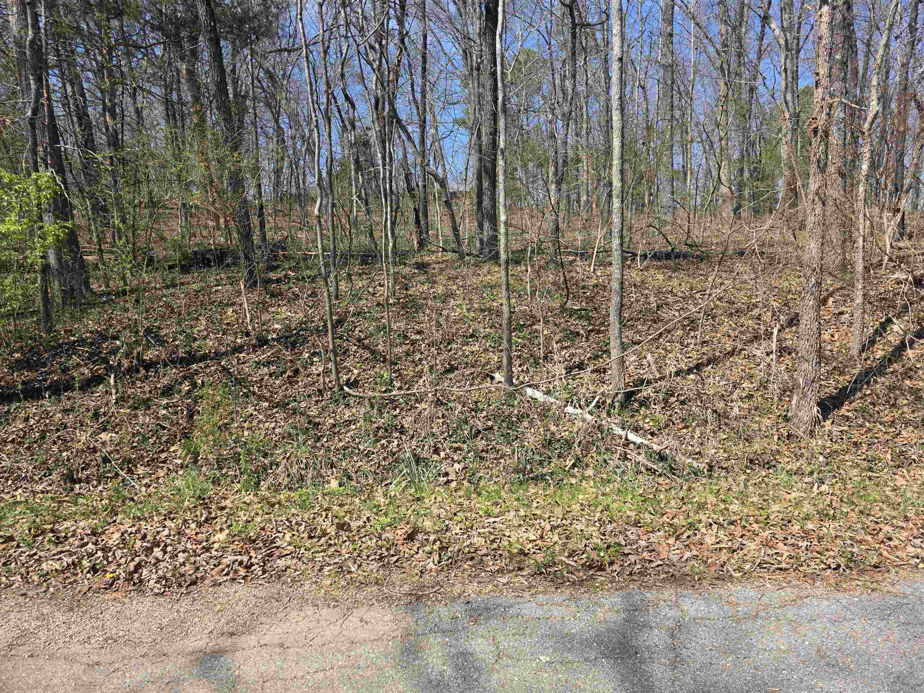 Vacant Land for sale – L33 B7  Navajo   Cherokee Village, AR