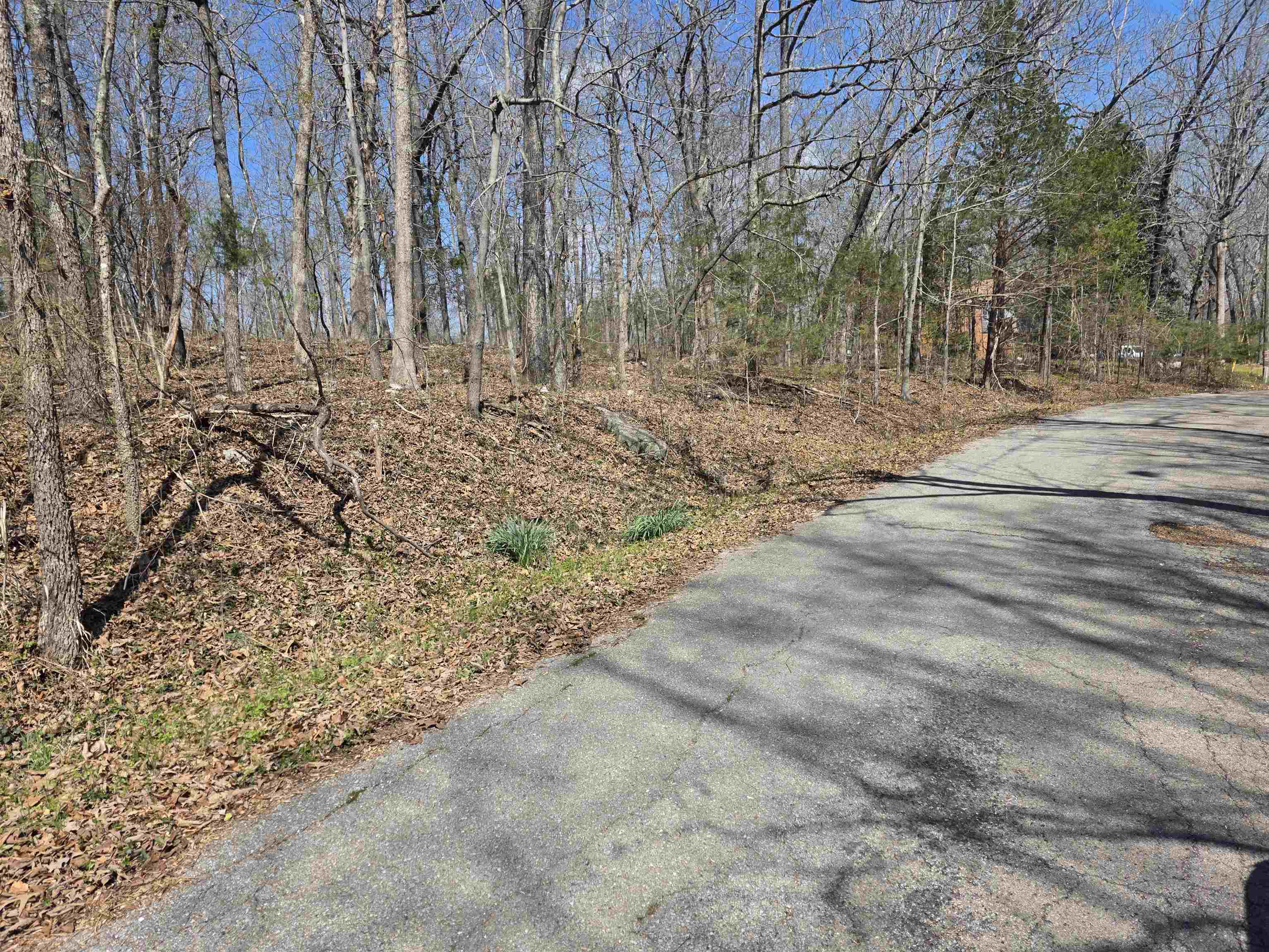 Photo 2 - Vacant Land for sale – L33 B7  Navajo   Cherokee Village, AR