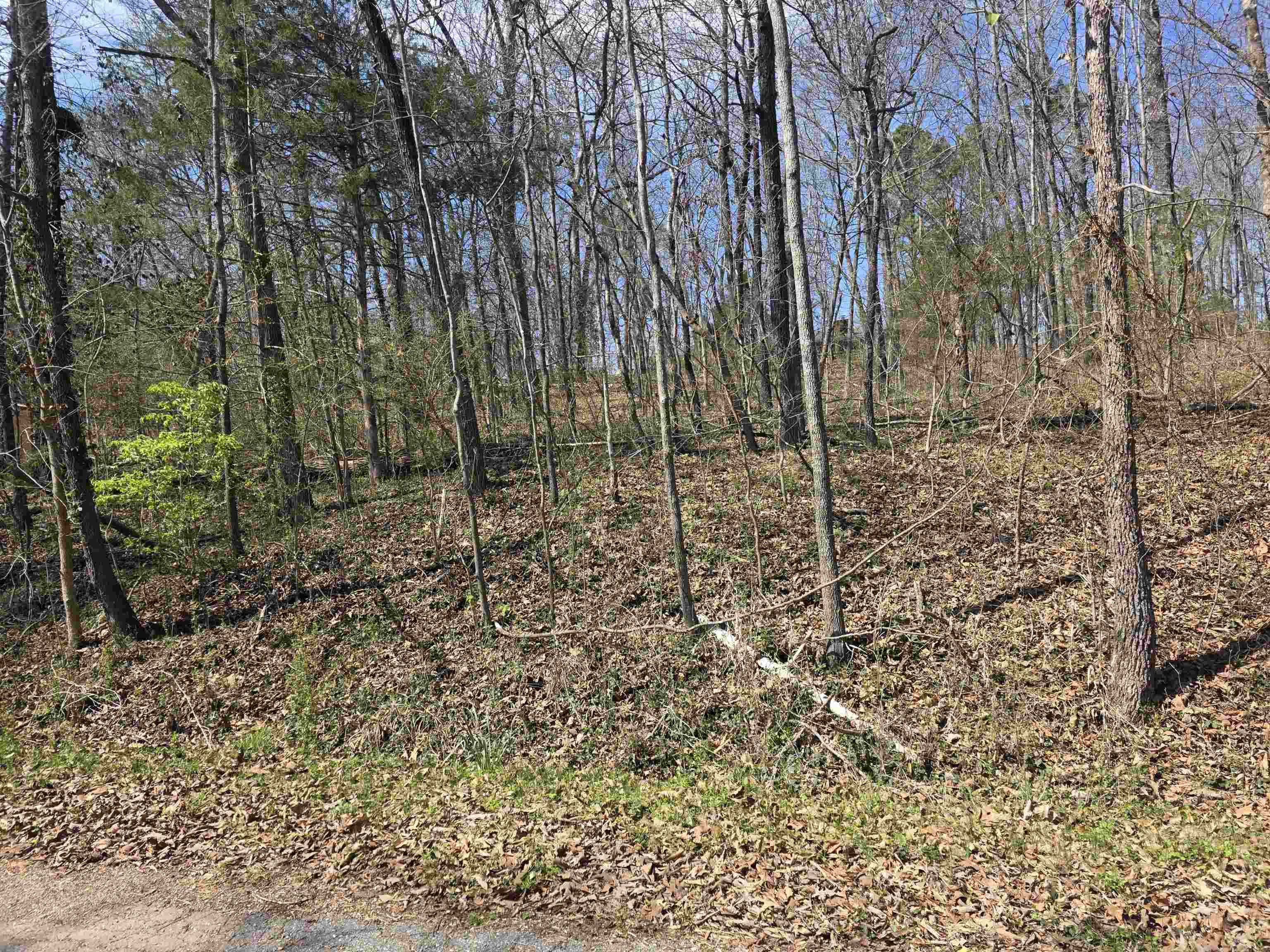 Photo 11 - Vacant Land for sale – L33 B7  Navajo   Cherokee Village, AR