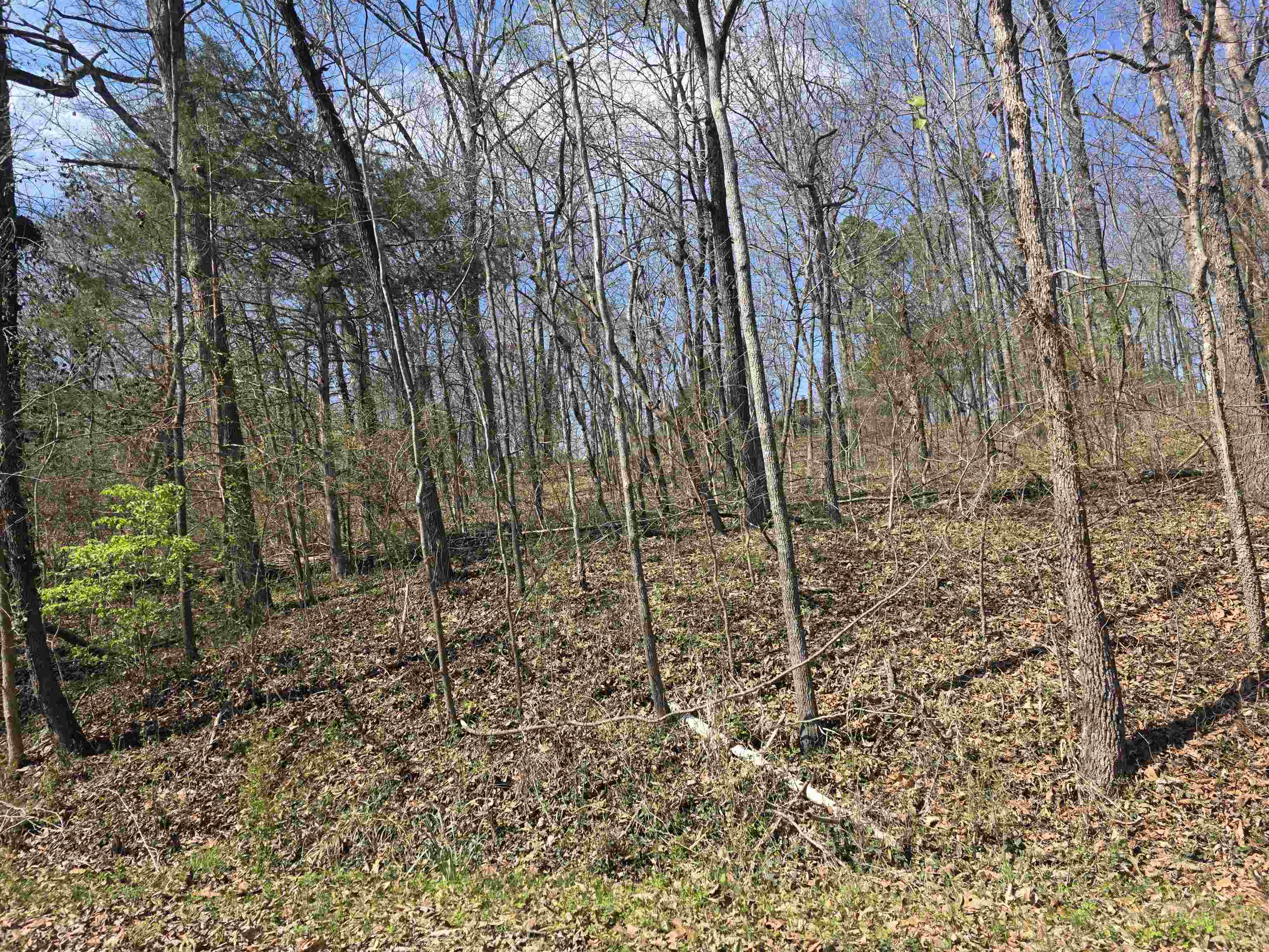 Photo 12 - Vacant Land for sale – L33 B7  Navajo   Cherokee Village, AR