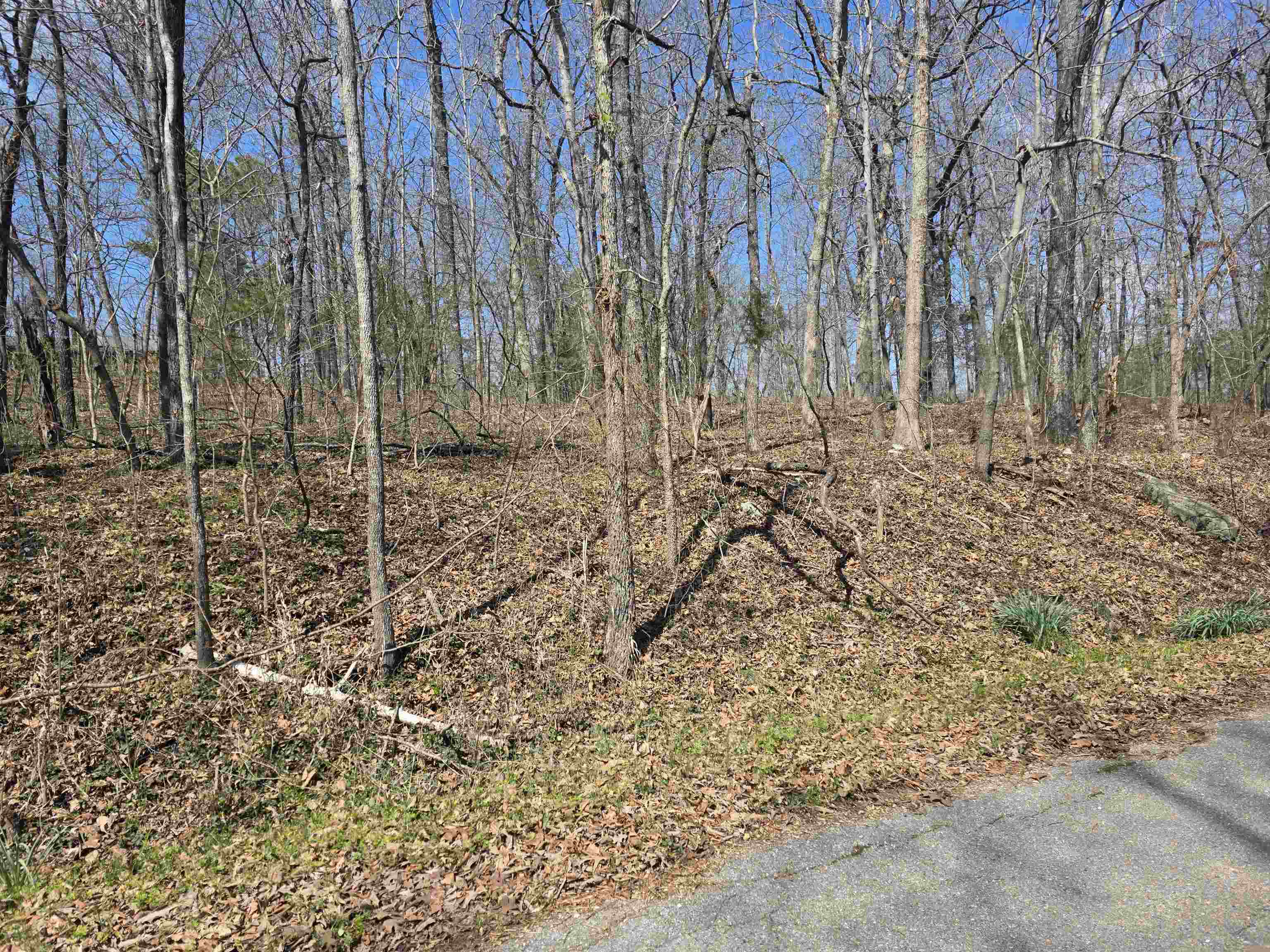 Photo 3 - Vacant Land for sale – L33 B7  Navajo   Cherokee Village, AR