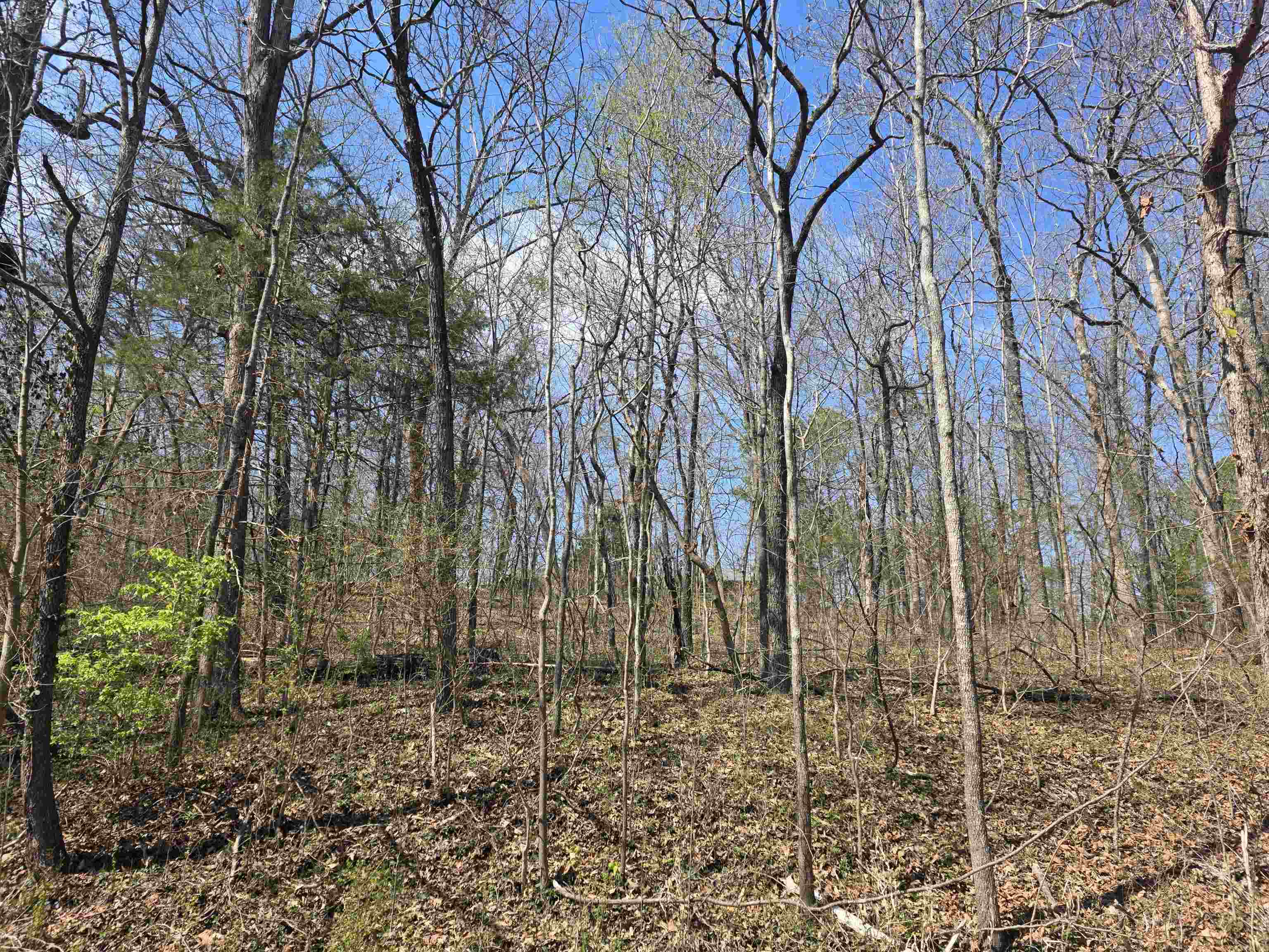 Photo 5 - Vacant Land for sale – L33 B7  Navajo   Cherokee Village, AR