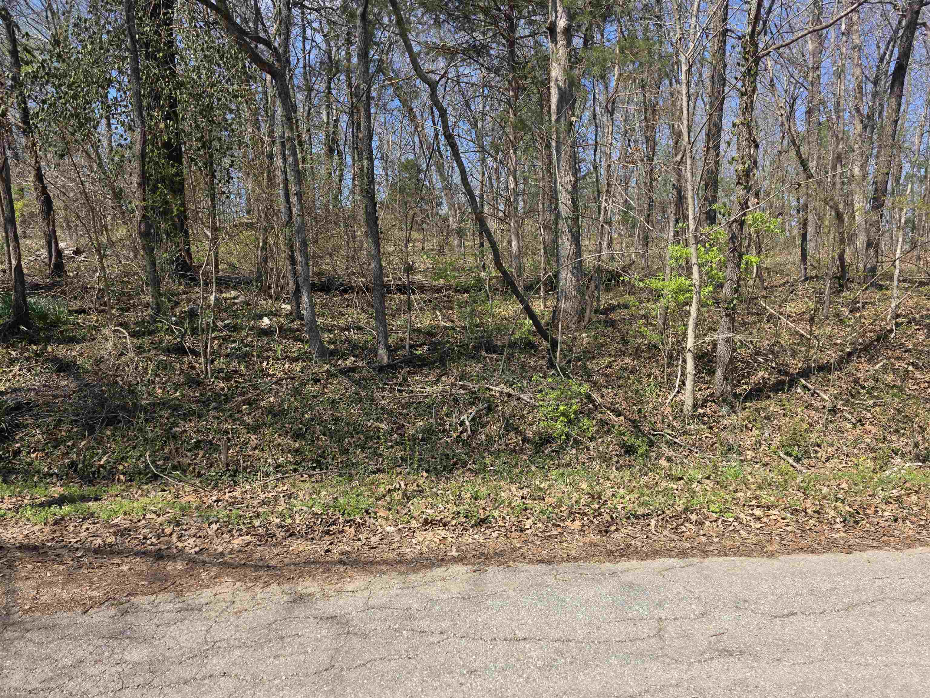 Photo 6 - Vacant Land for sale – L33 B7  Navajo   Cherokee Village, AR