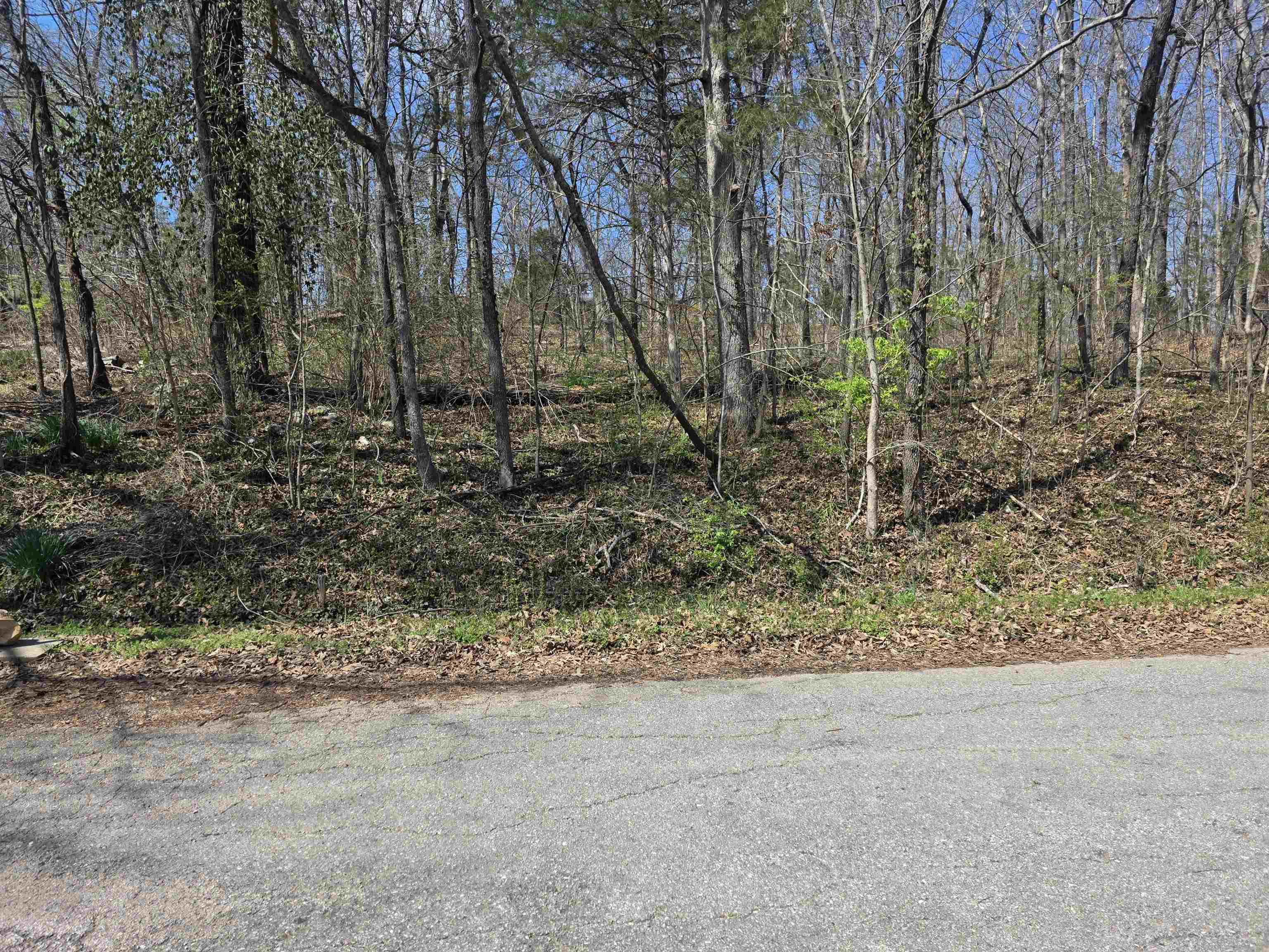 Photo 7 - Vacant Land for sale – L33 B7  Navajo   Cherokee Village, AR