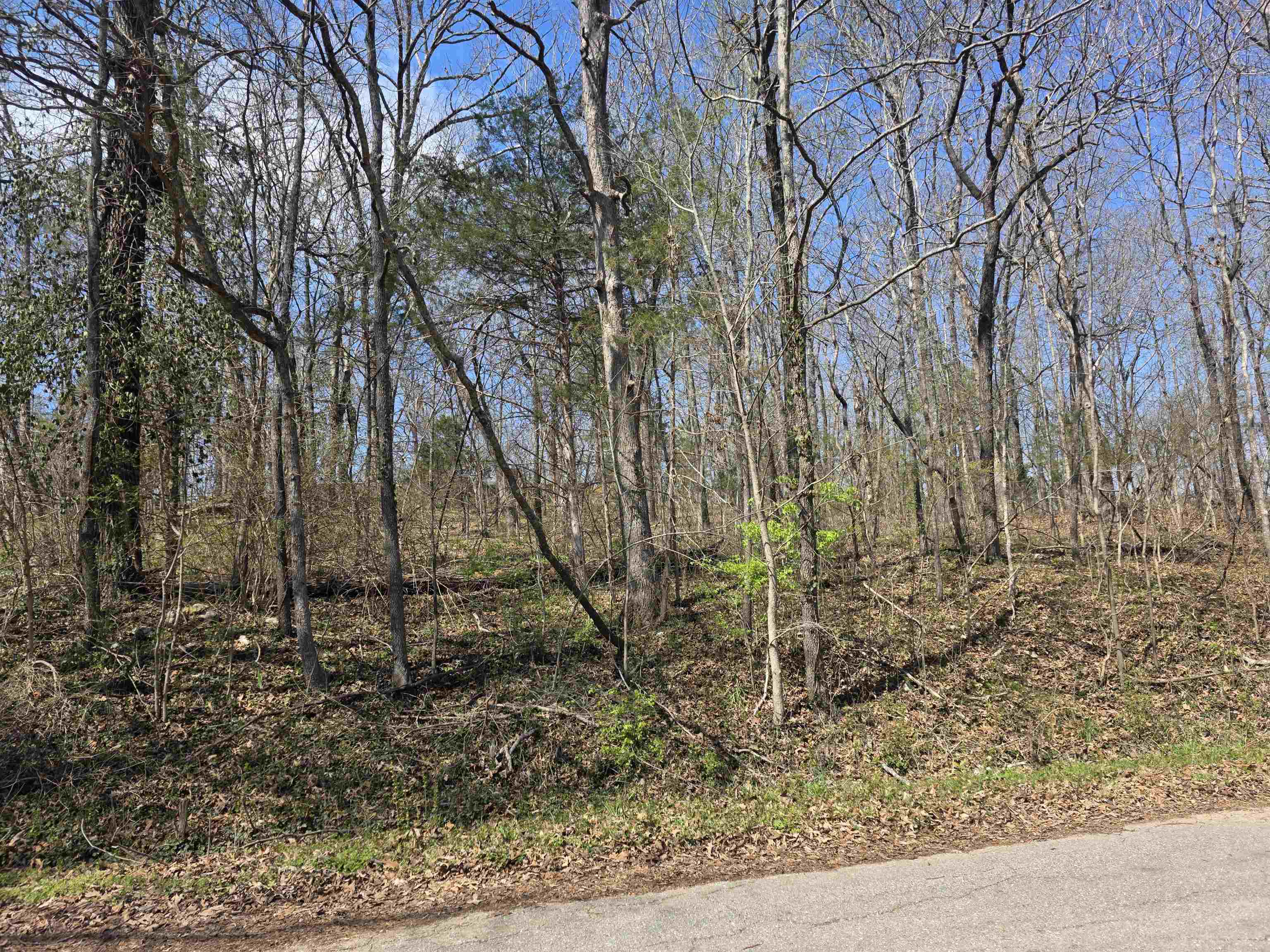 Photo 8 - Vacant Land for sale – L33 B7  Navajo   Cherokee Village, AR