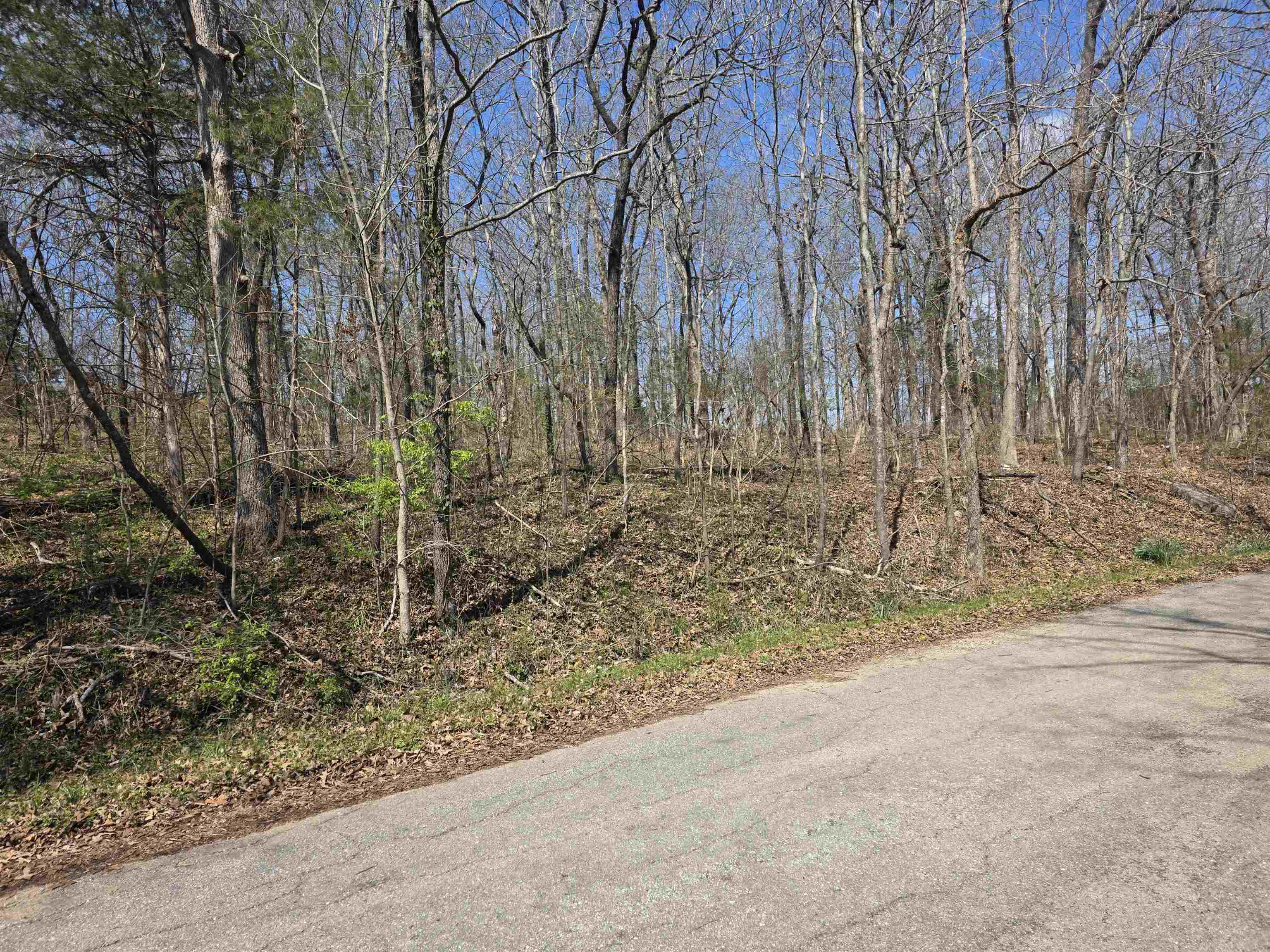 Photo 9 - Vacant Land for sale – L33 B7  Navajo   Cherokee Village, AR