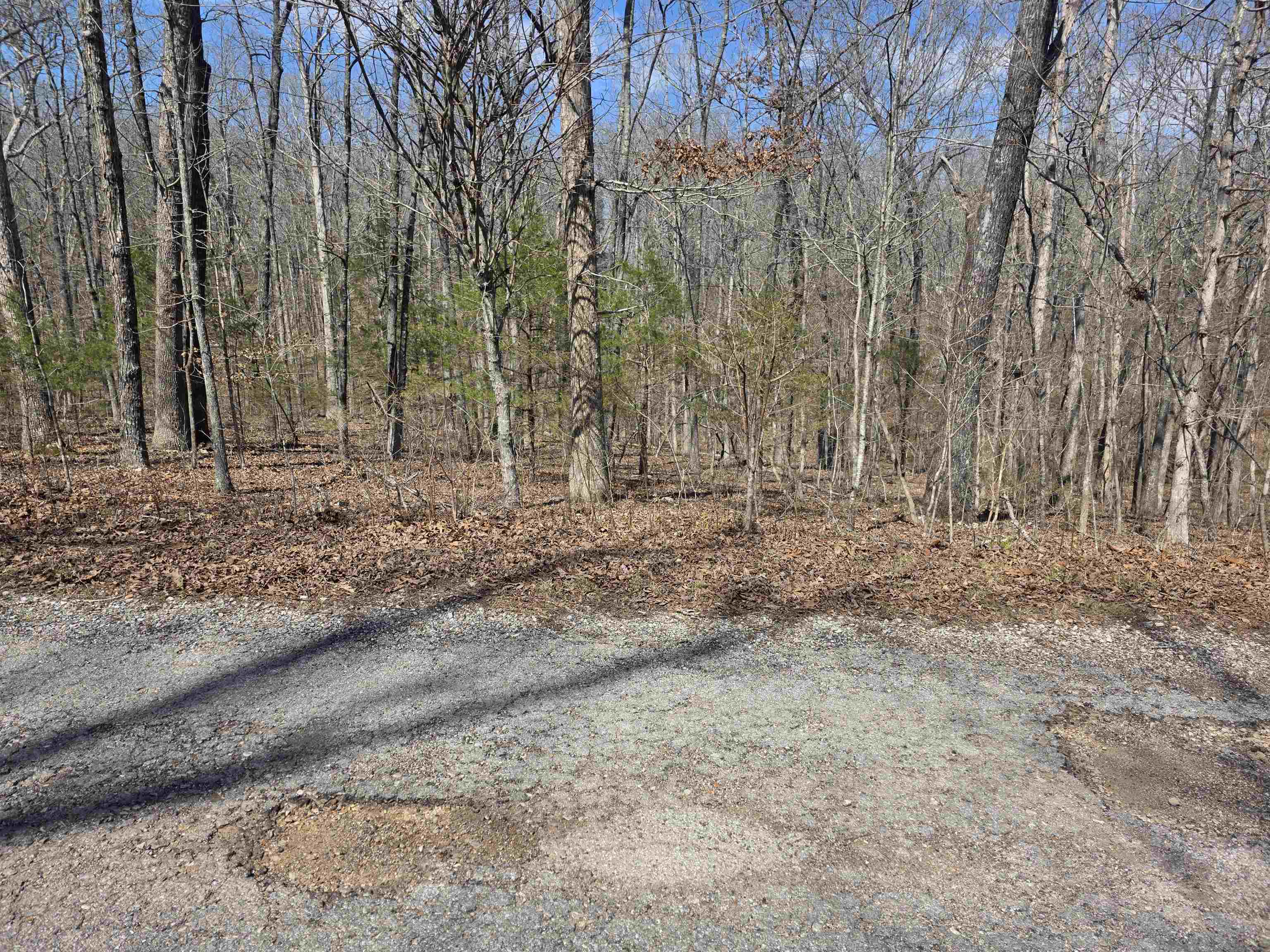 Photo 2 - Vacant Land for sale – L12 B6  Navajo   Cherokee Village, AR