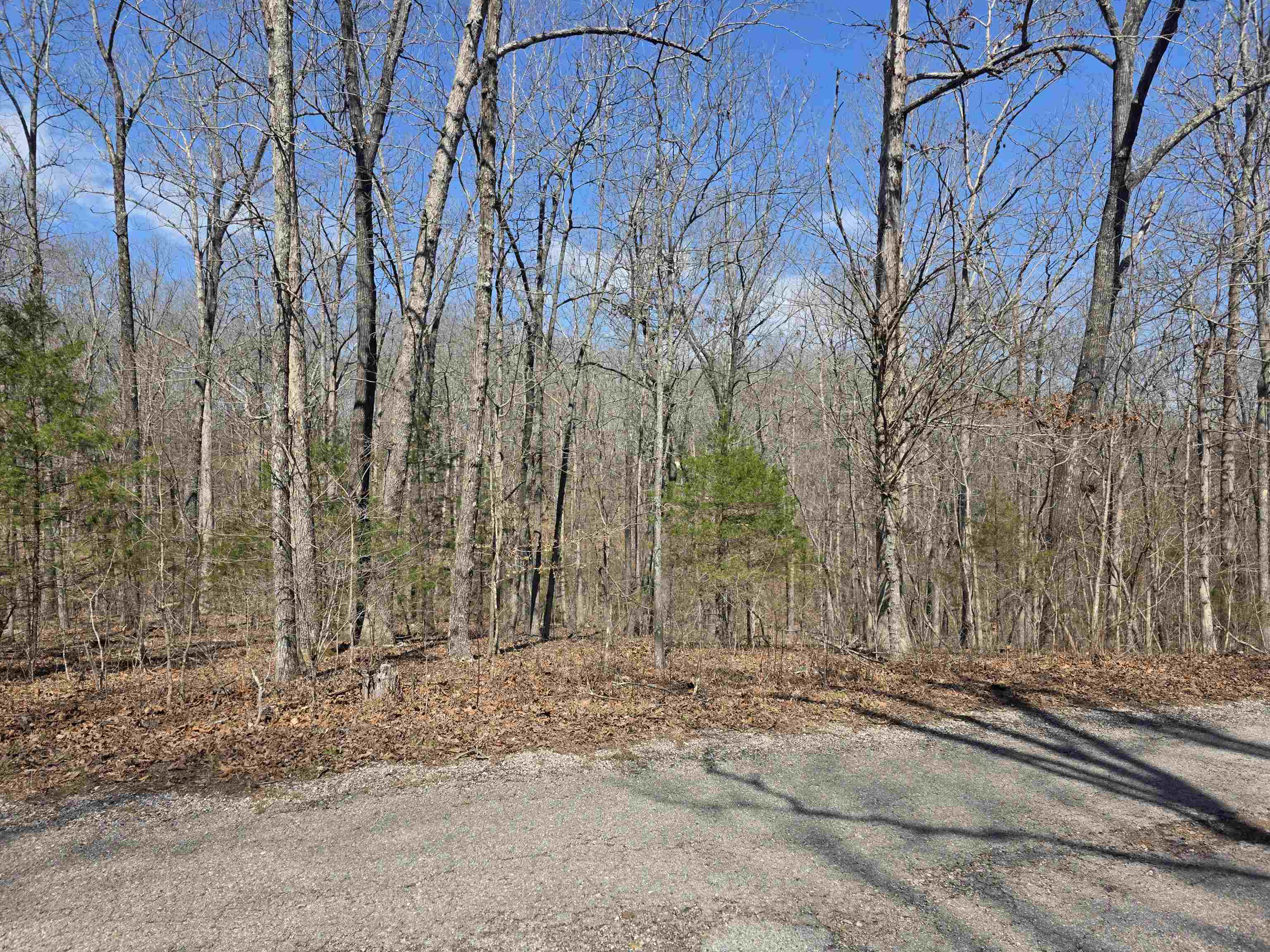 Photo 13 - Vacant Land for sale – L12 B6  Navajo   Cherokee Village, AR