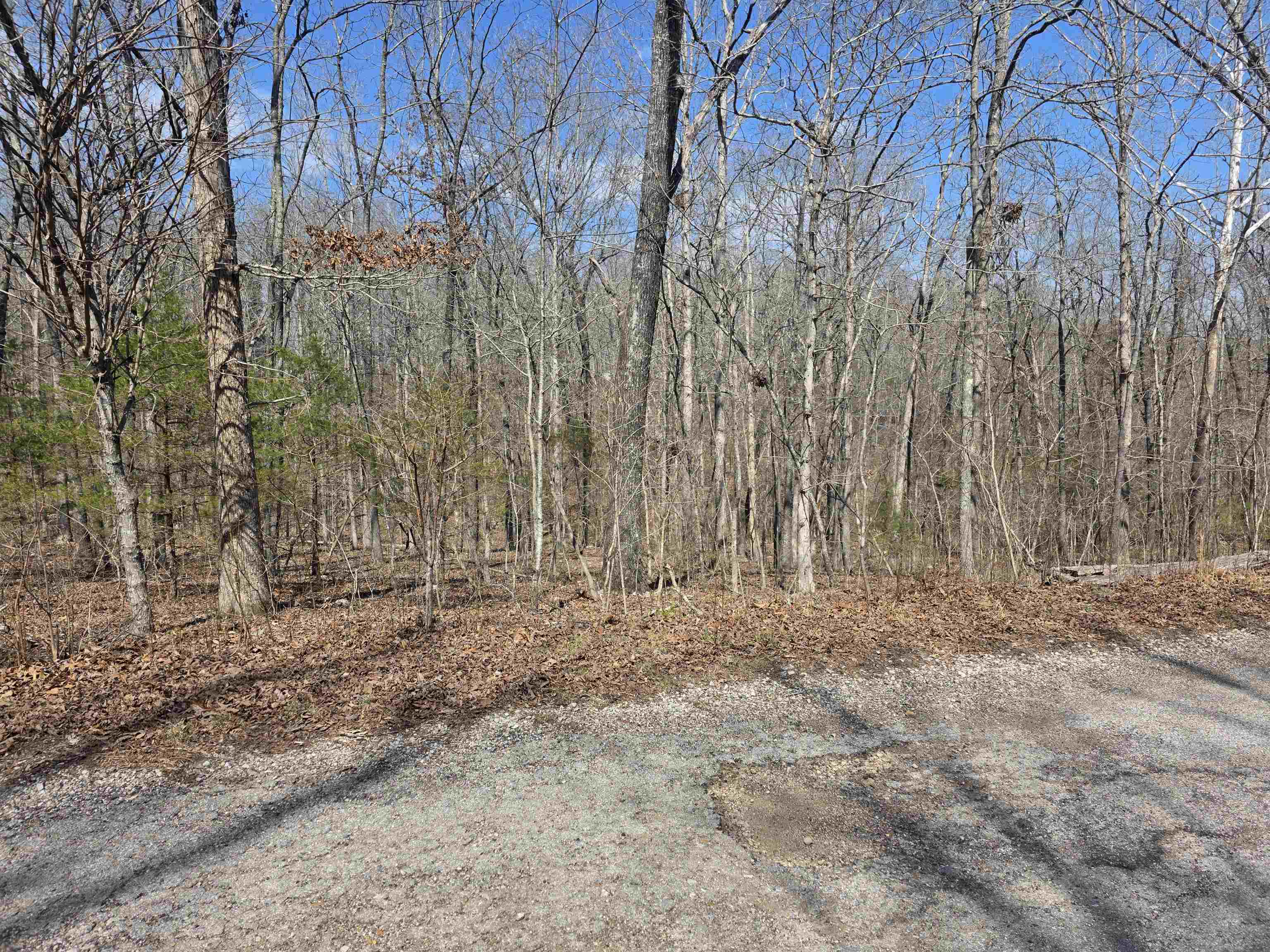 Photo 3 - Vacant Land for sale – L12 B6  Navajo   Cherokee Village, AR