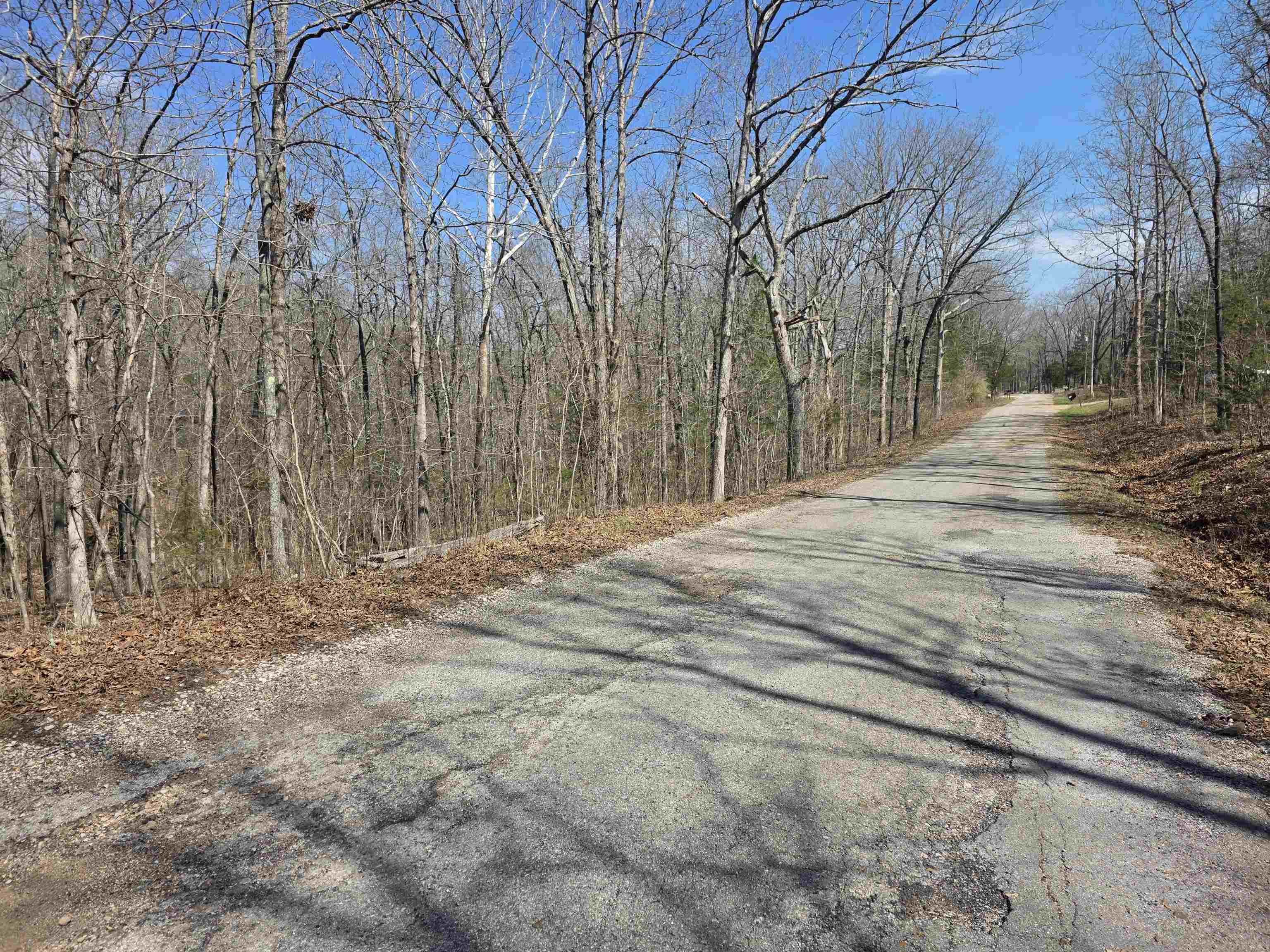 Photo 4 - Vacant Land for sale – L12 B6  Navajo   Cherokee Village, AR