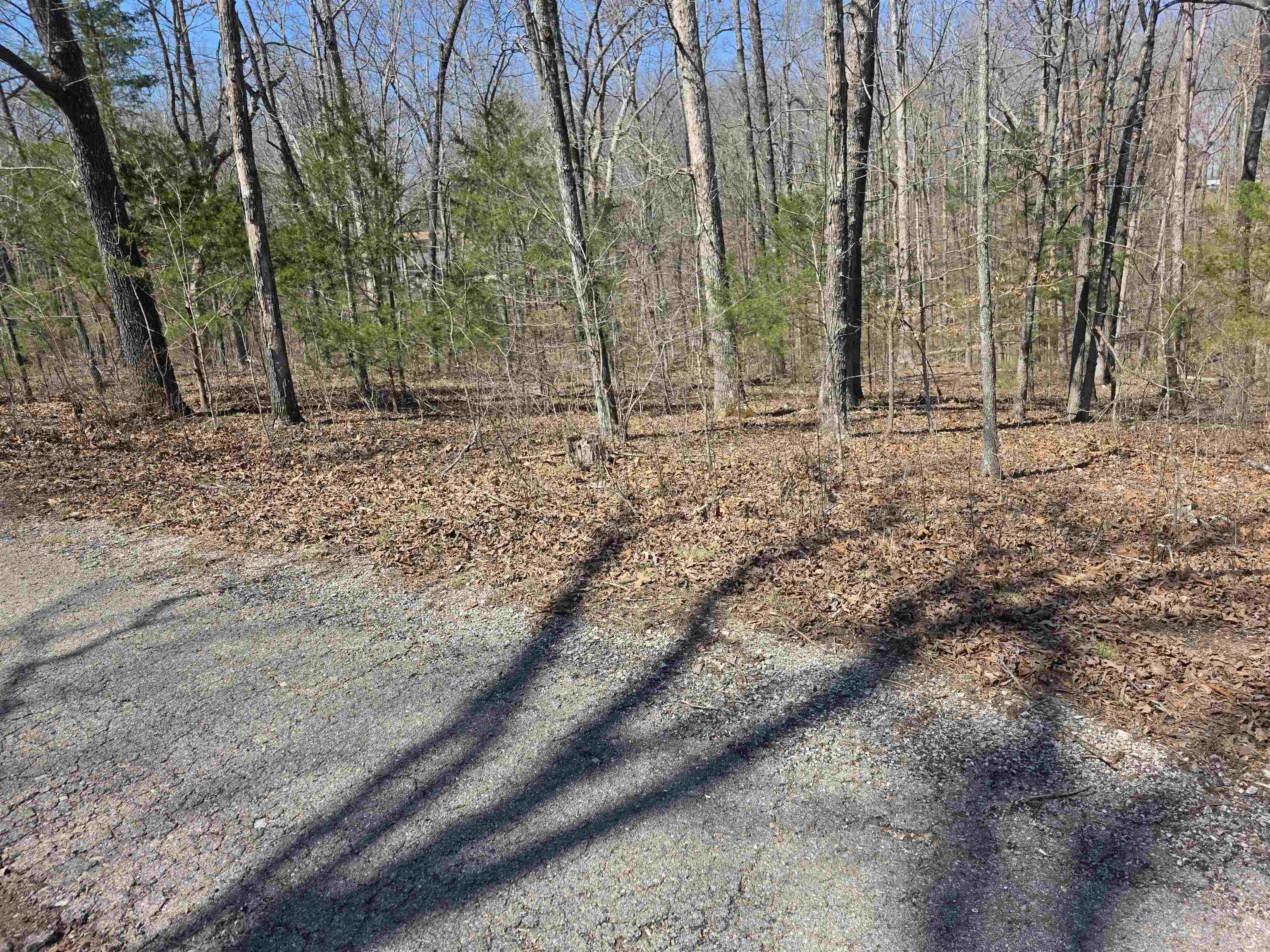 Photo 5 - Vacant Land for sale – L12 B6  Navajo   Cherokee Village, AR