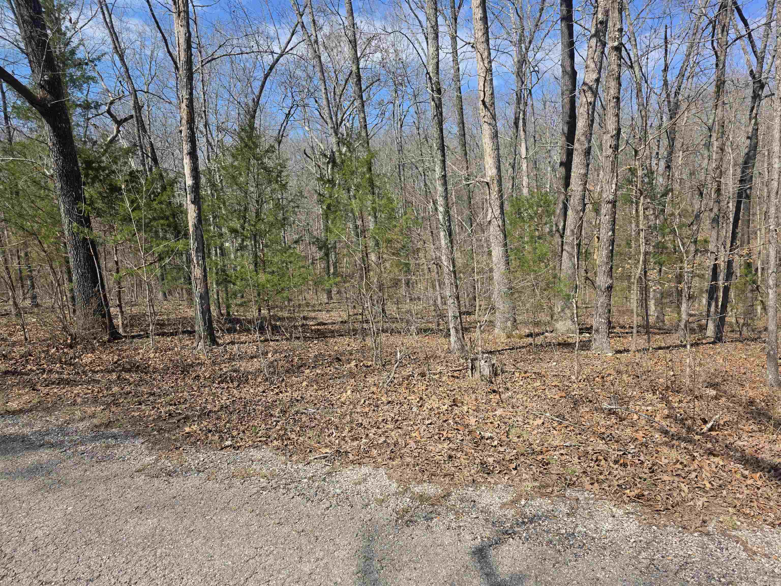 Photo 6 - Vacant Land for sale – L12 B6  Navajo   Cherokee Village, AR