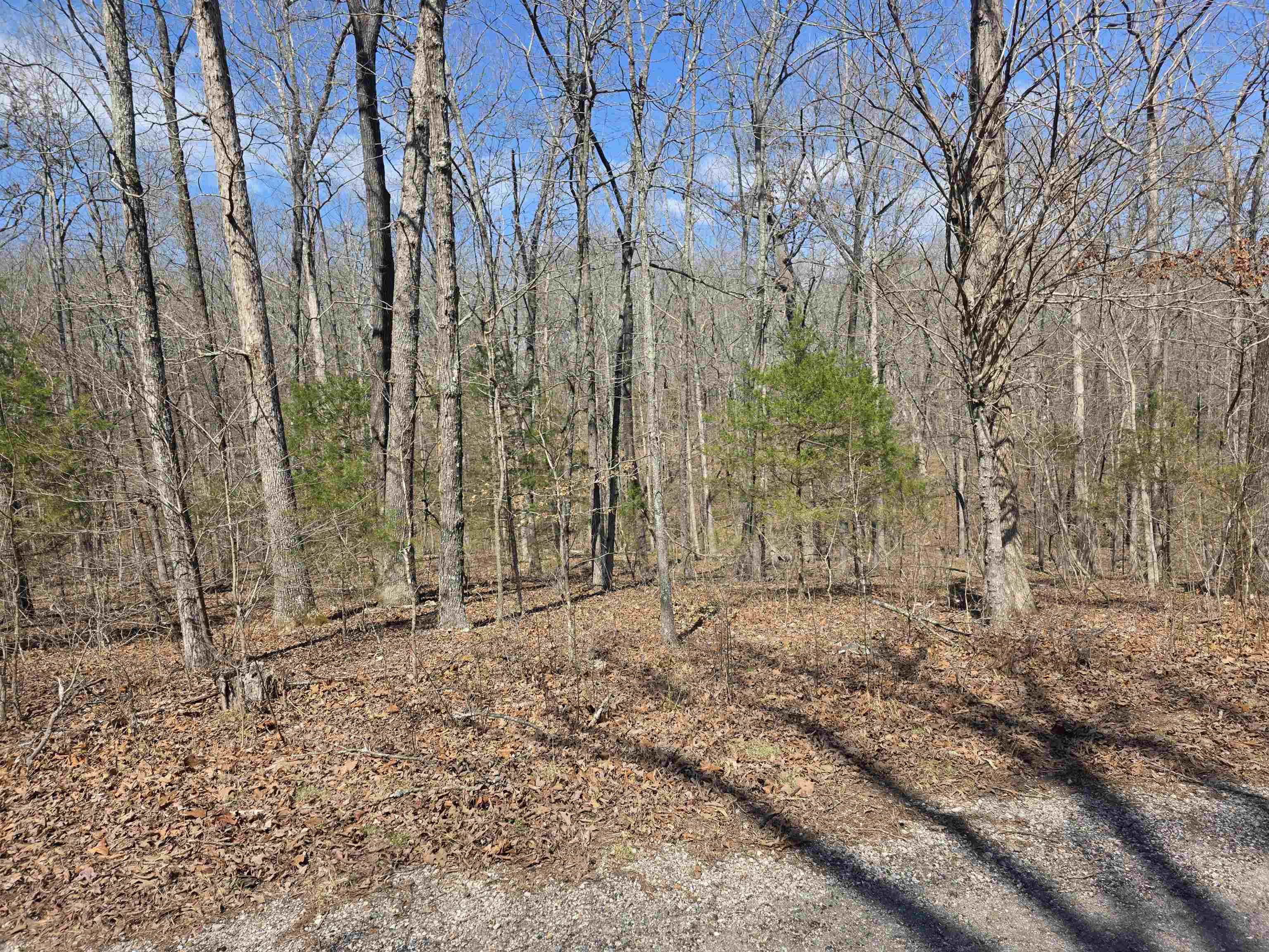 Photo 7 - Vacant Land for sale – L12 B6  Navajo   Cherokee Village, AR