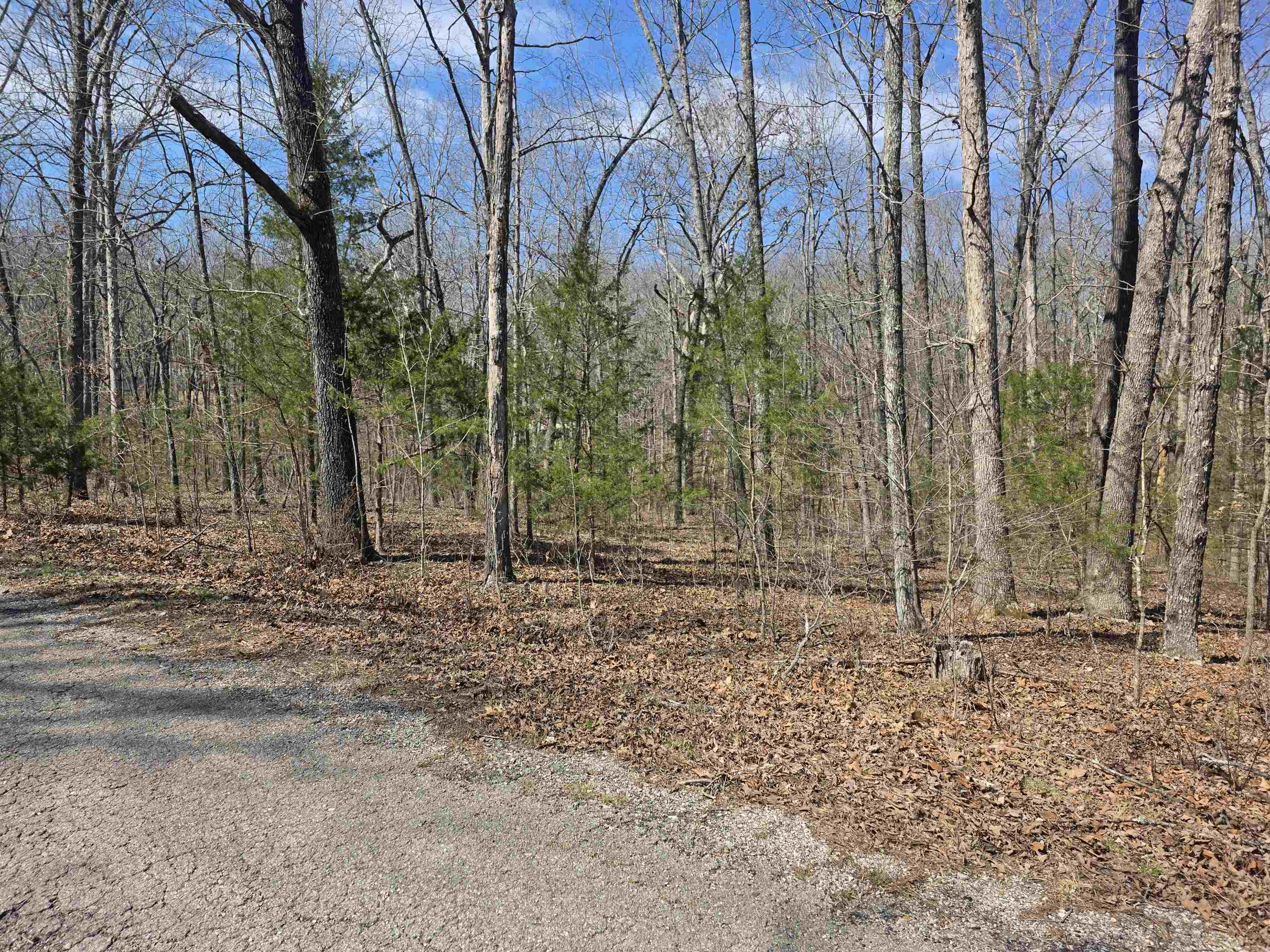 Photo 8 - Vacant Land for sale – L12 B6  Navajo   Cherokee Village, AR