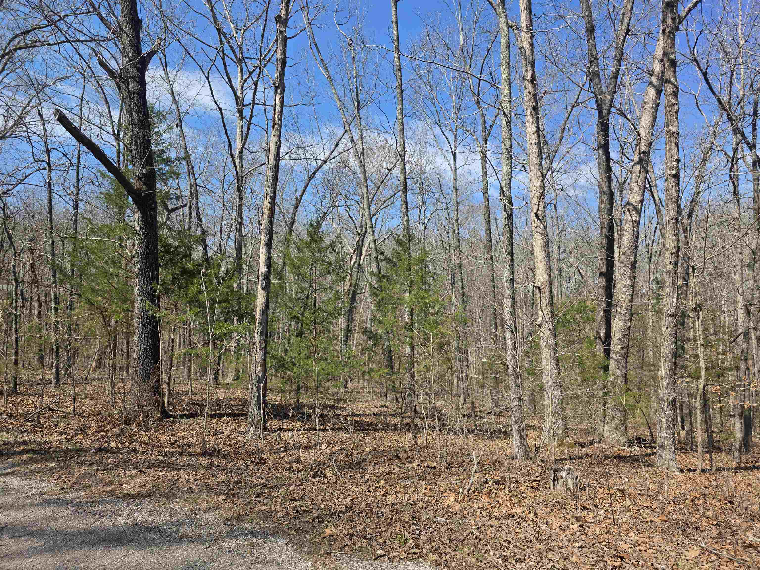 Photo 9 - Vacant Land for sale – L12 B6  Navajo   Cherokee Village, AR