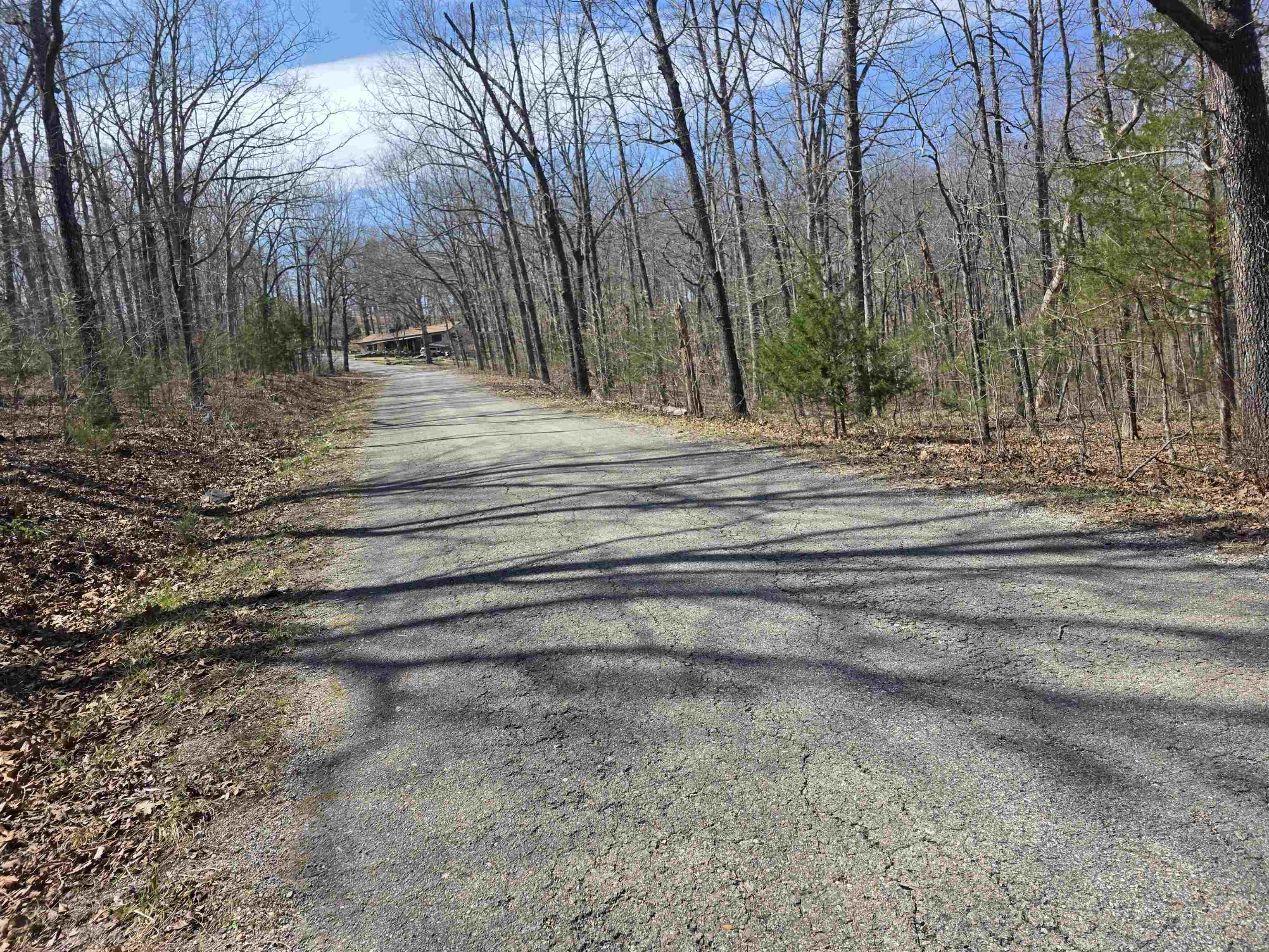 Photo 10 - Vacant Land for sale – L12 B6  Navajo   Cherokee Village, AR