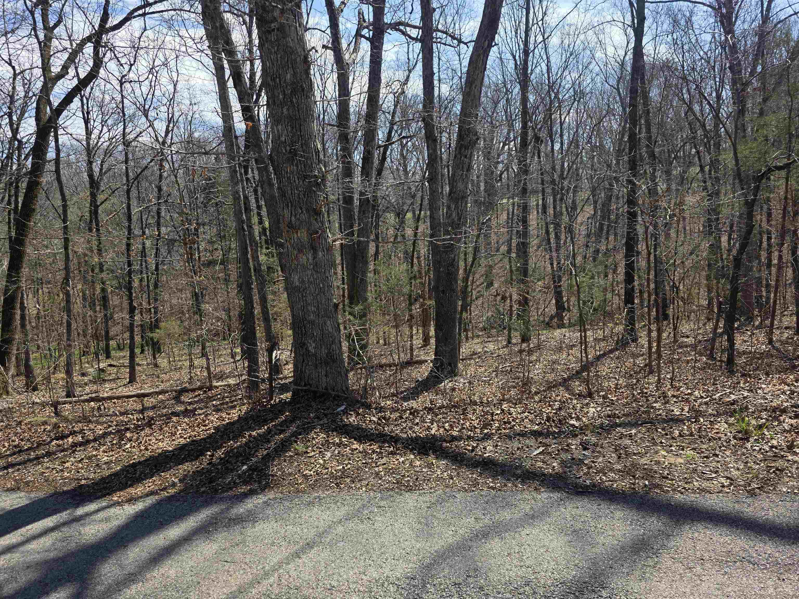 Photo 2 - Vacant Land for sale – L25 B4  Keno   Cherokee Village, AR