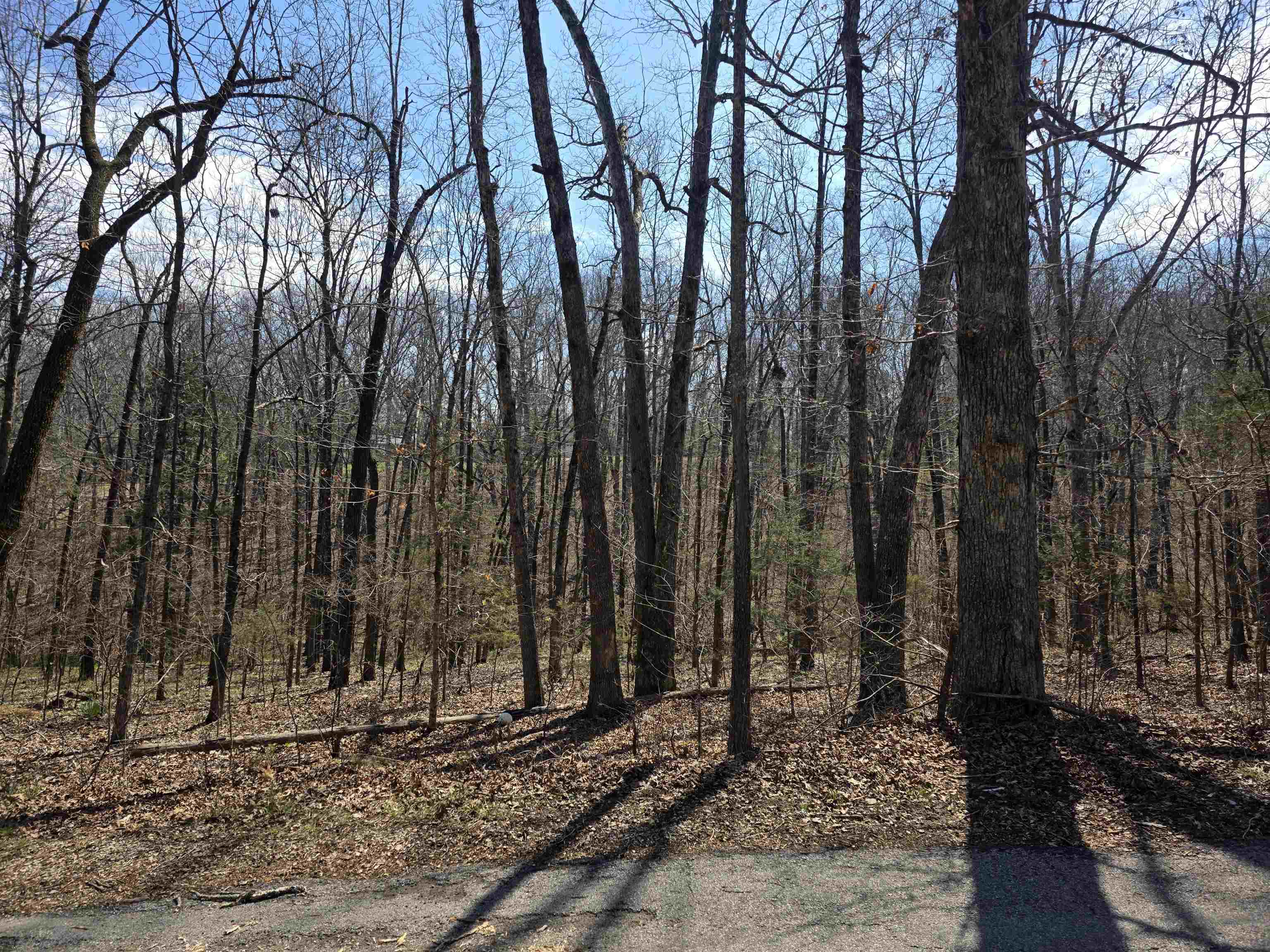 Photo 11 - Vacant Land for sale – L25 B4  Keno   Cherokee Village, AR