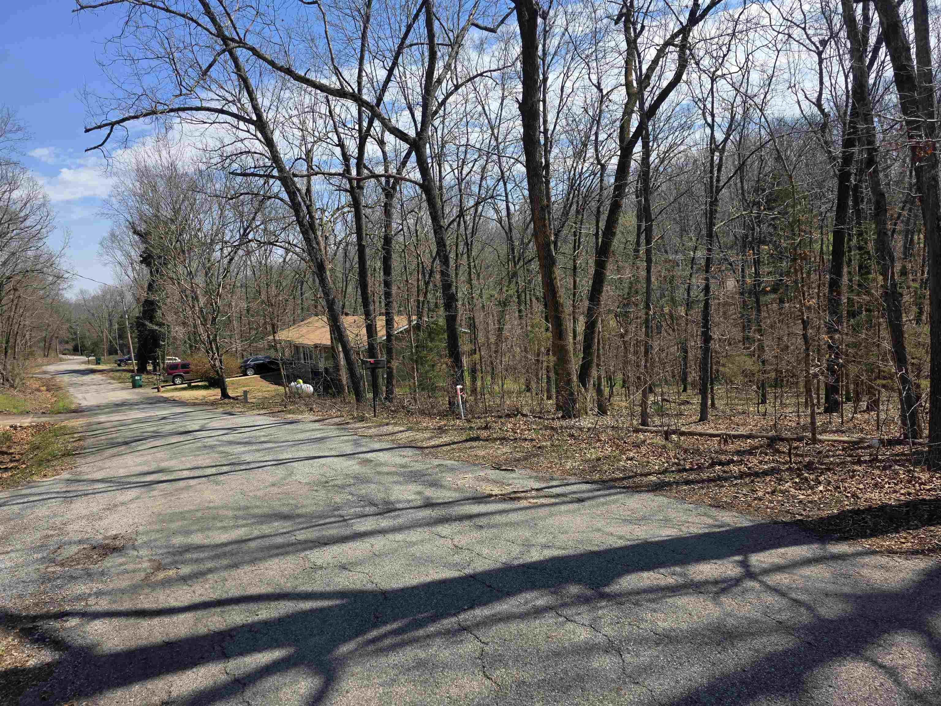 Photo 3 - Vacant Land for sale – L25 B4  Keno   Cherokee Village, AR