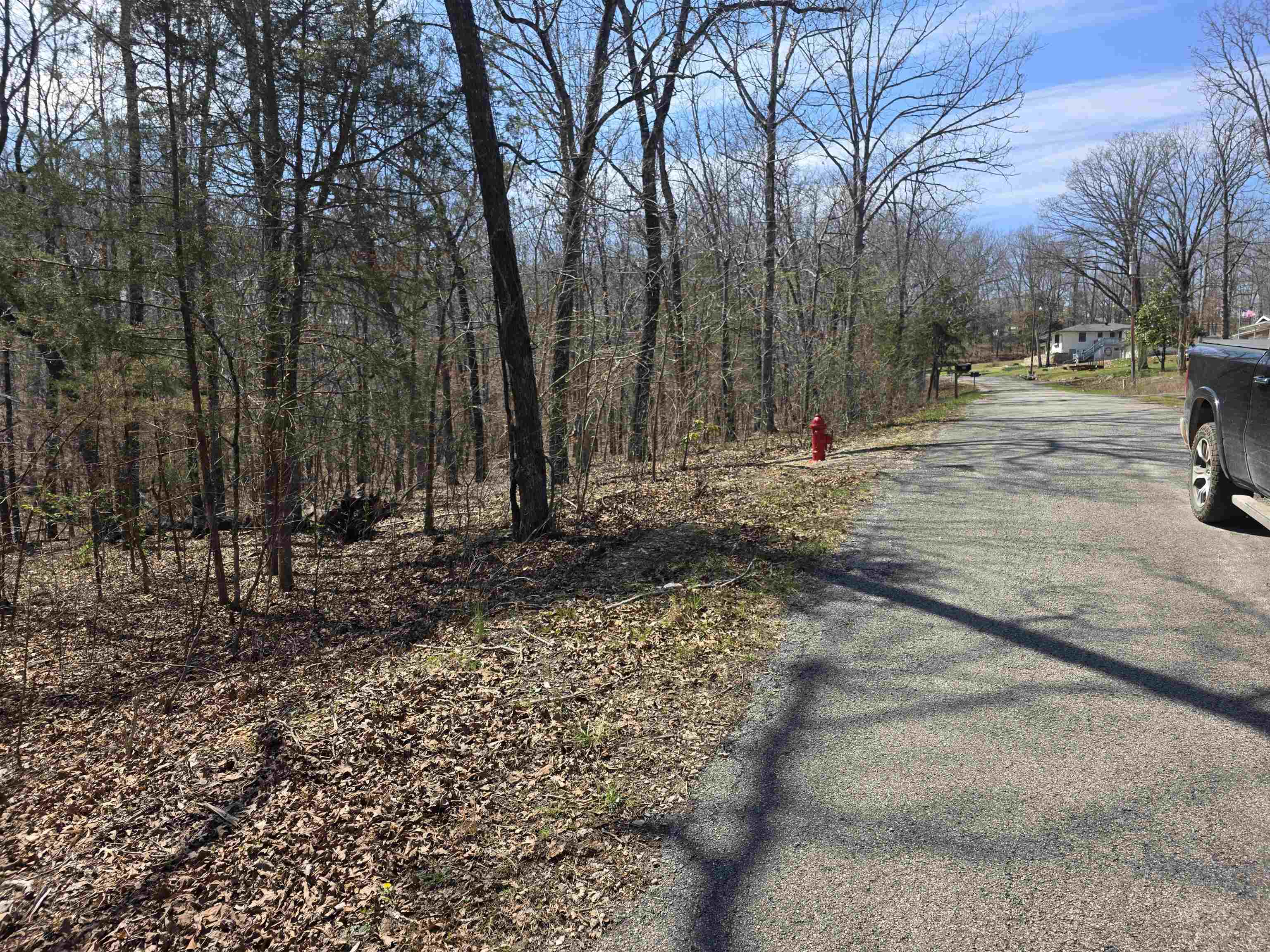 Photo 4 - Vacant Land for sale – L25 B4  Keno   Cherokee Village, AR