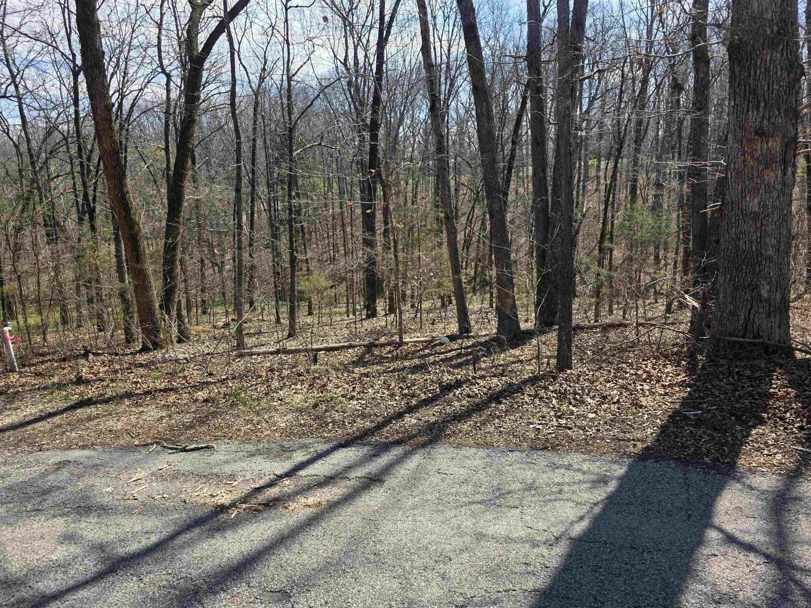 Photo 5 - Vacant Land for sale – L25 B4  Keno   Cherokee Village, AR