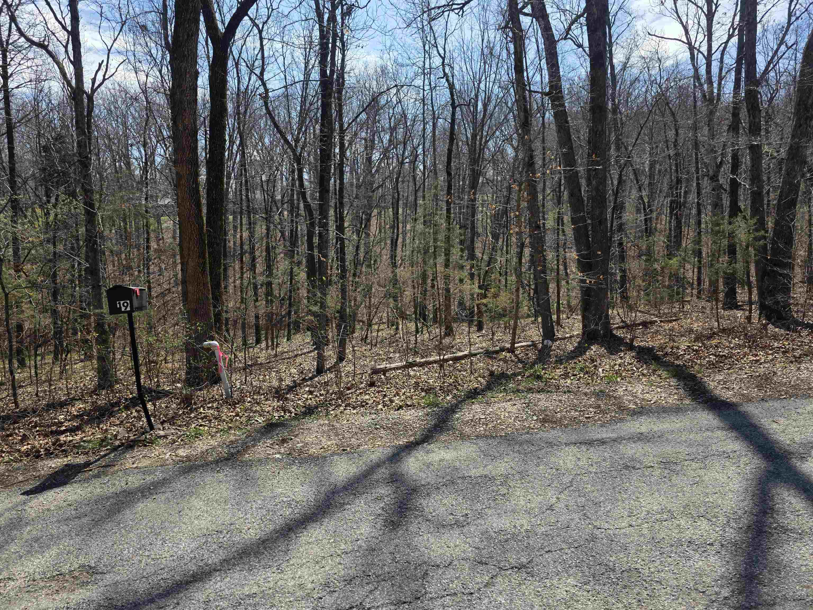 Photo 6 - Vacant Land for sale – L25 B4  Keno   Cherokee Village, AR