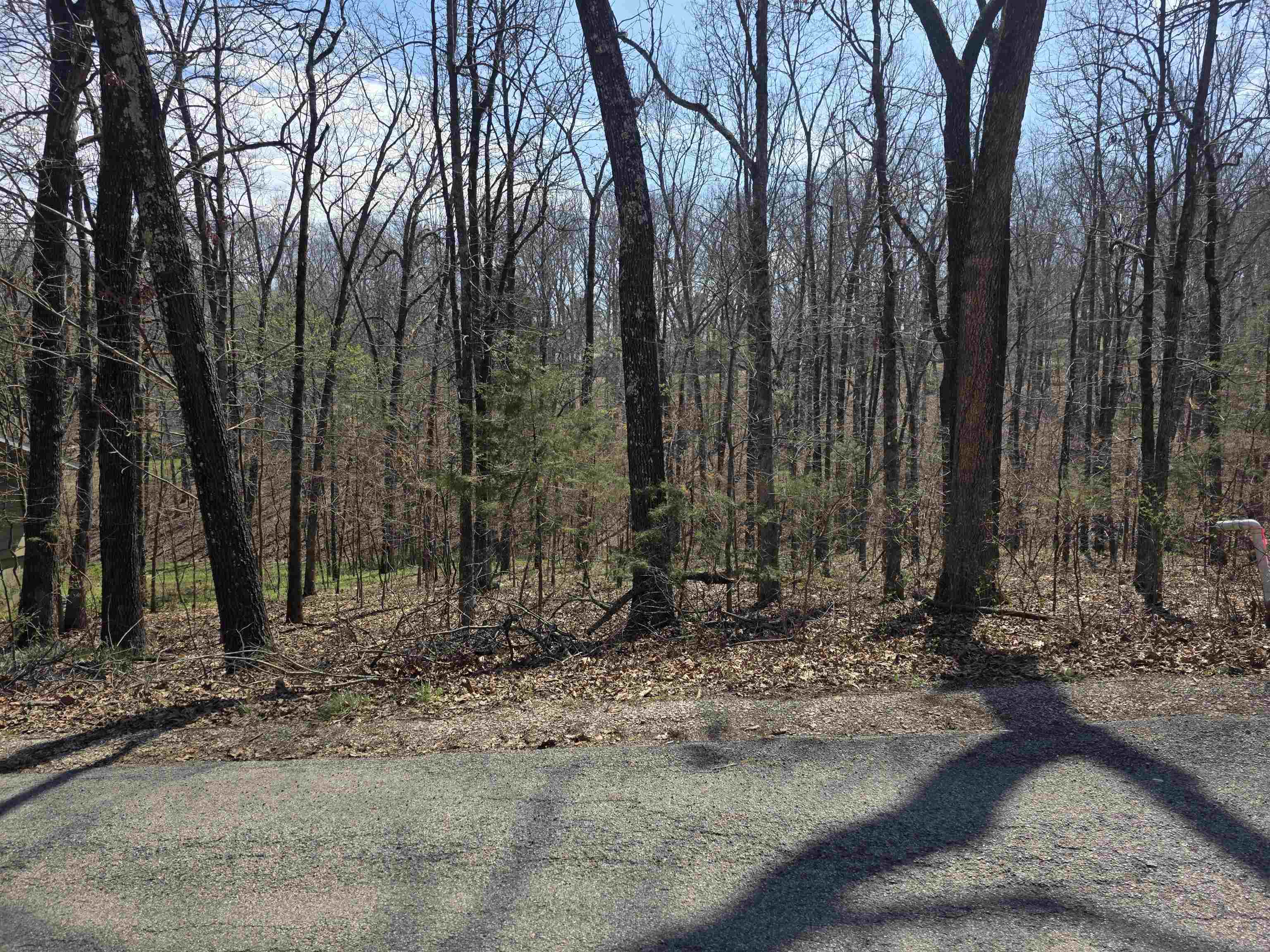 Photo 7 - Vacant Land for sale – L25 B4  Keno   Cherokee Village, AR