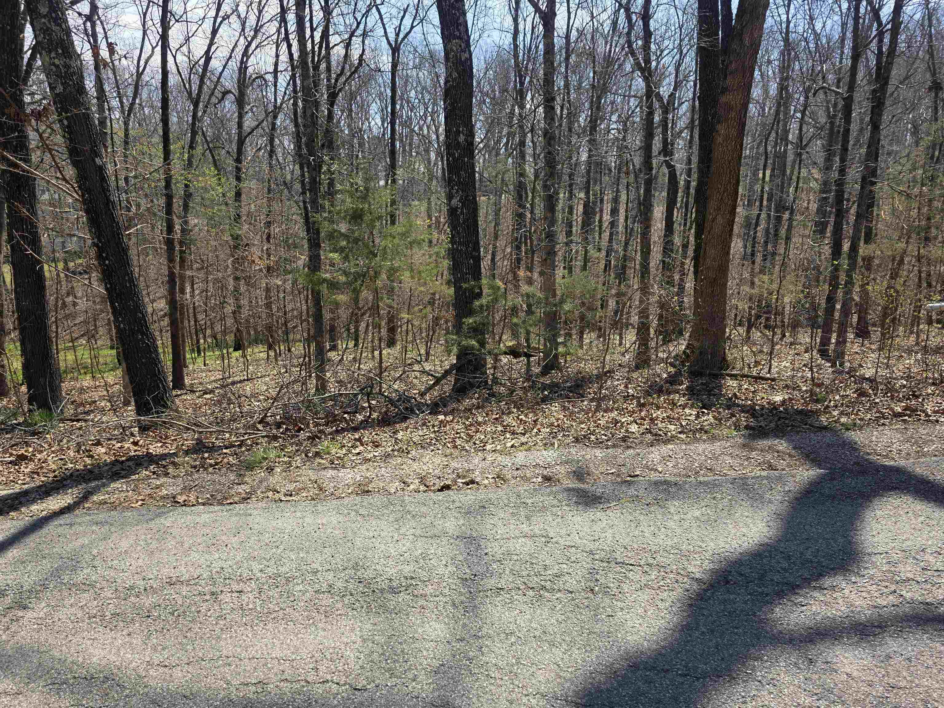 Photo 8 - Vacant Land for sale – L25 B4  Keno   Cherokee Village, AR