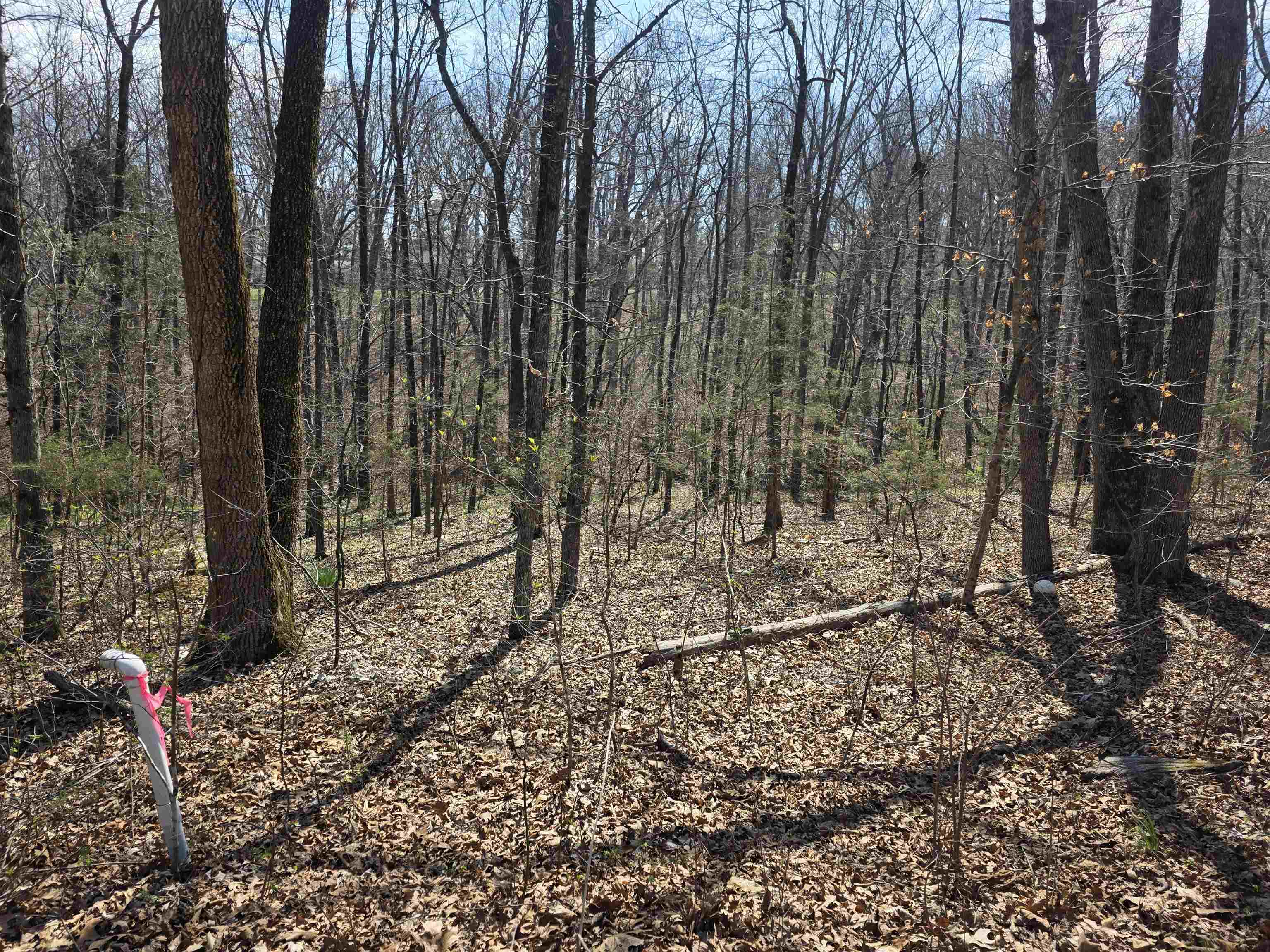 Photo 9 - Vacant Land for sale – L25 B4  Keno   Cherokee Village, AR