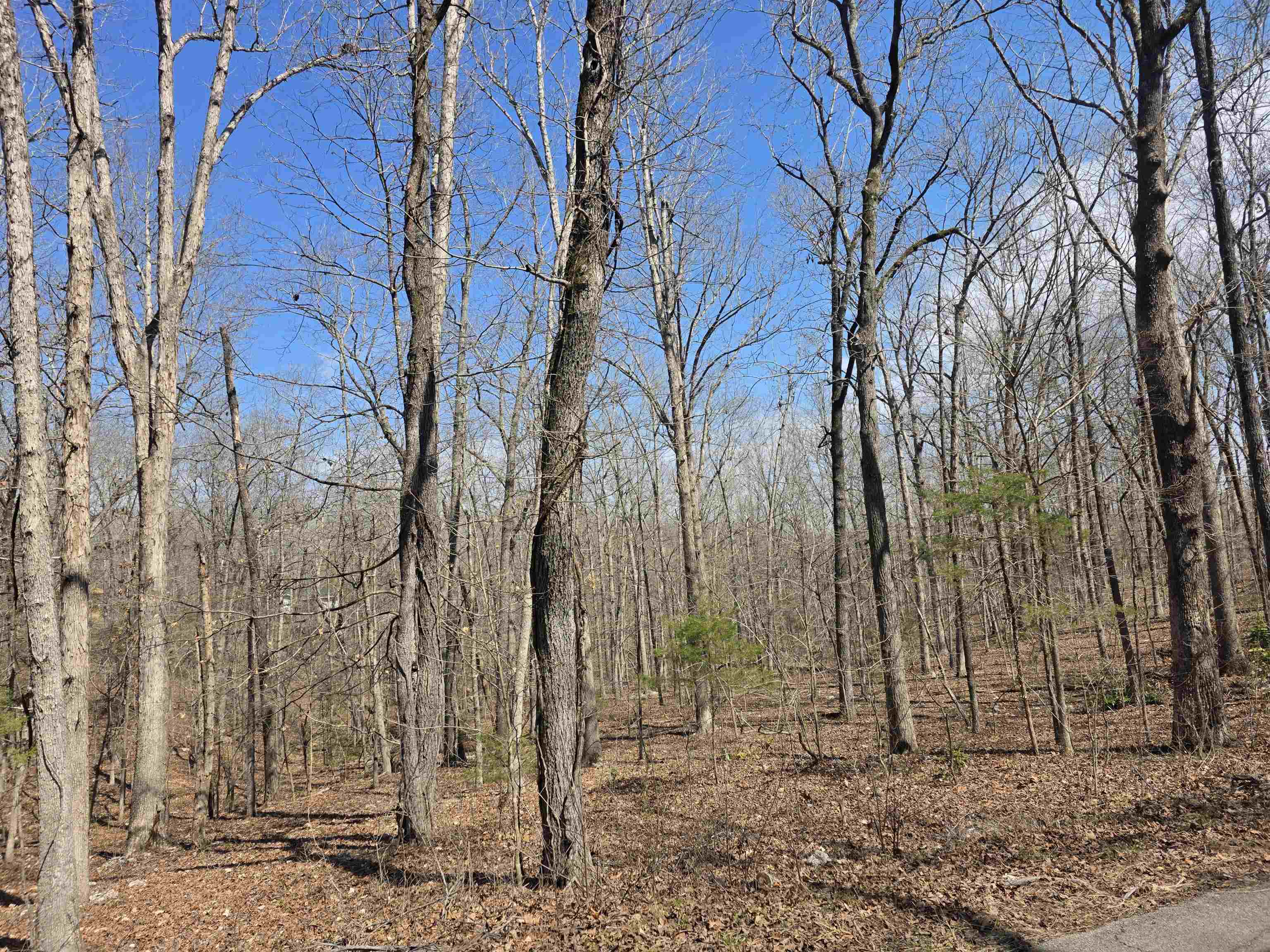 Vacant Land for sale – L18 B4  Powhatan   Cherokee Village, AR