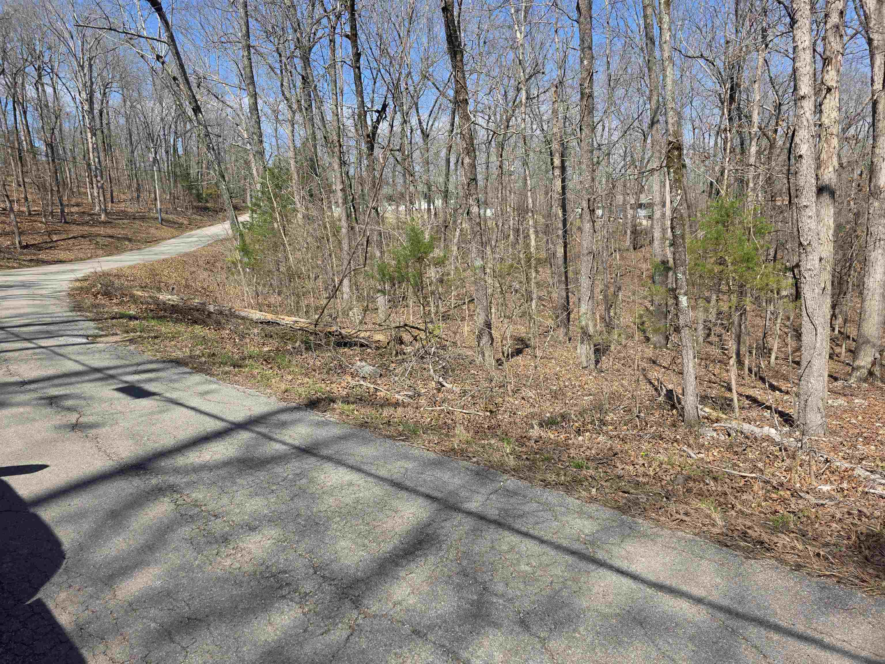 Photo 2 - Vacant Land for sale – L18 B4  Powhatan   Cherokee Village, AR