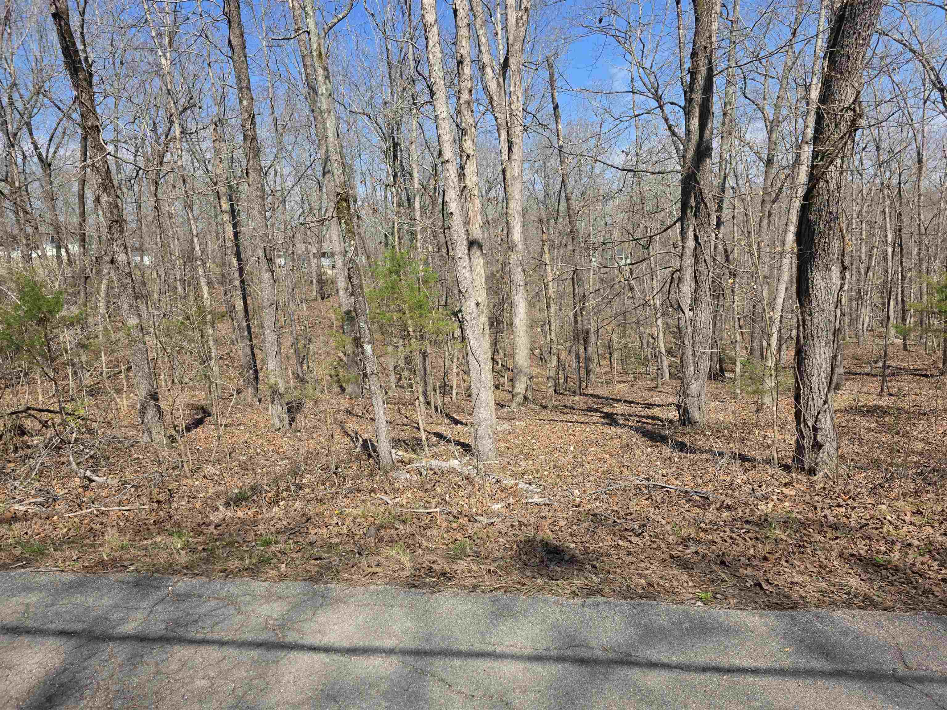 Photo 3 - Vacant Land for sale – L18 B4  Powhatan   Cherokee Village, AR