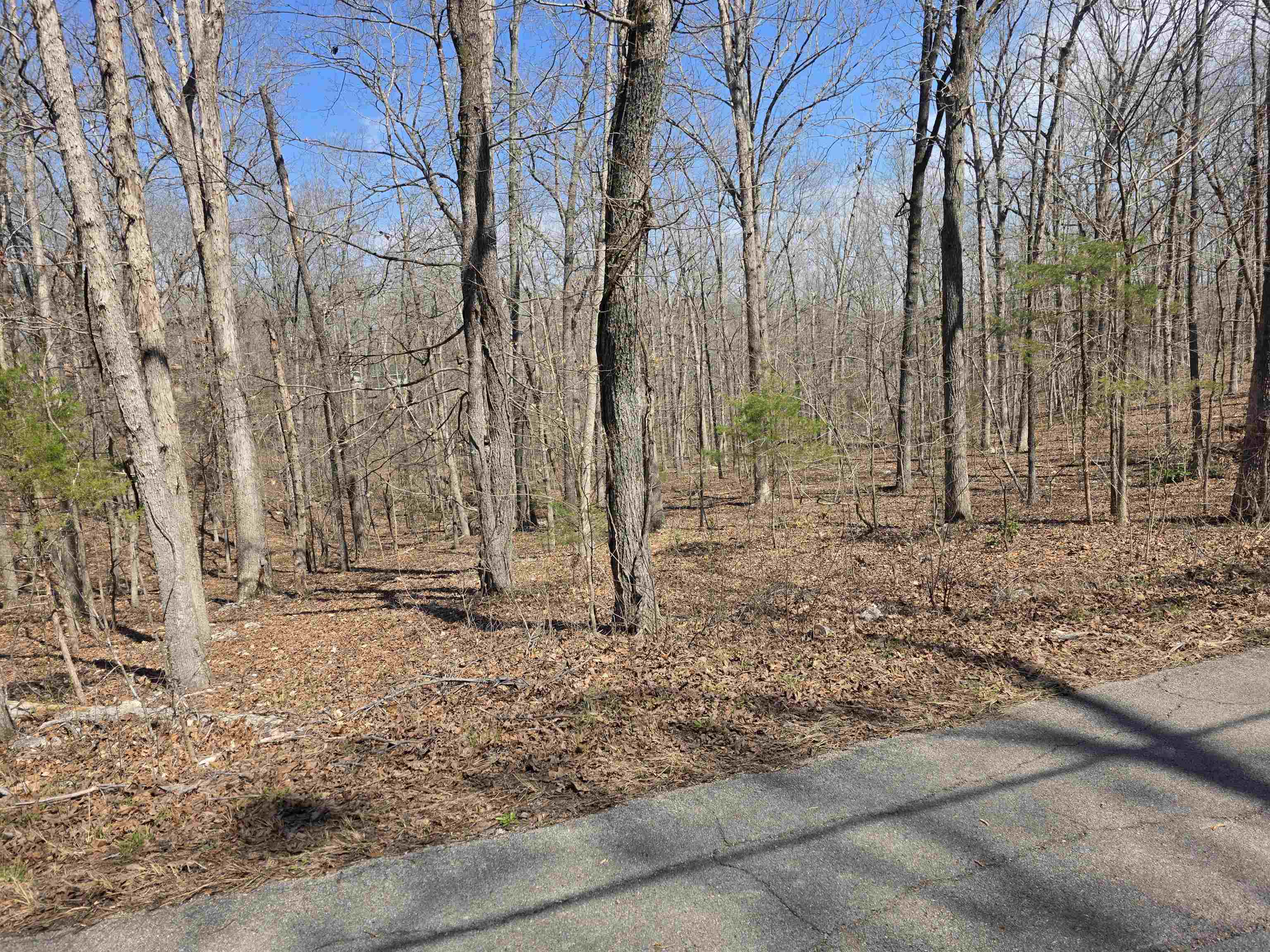 Photo 4 - Vacant Land for sale – L18 B4  Powhatan   Cherokee Village, AR