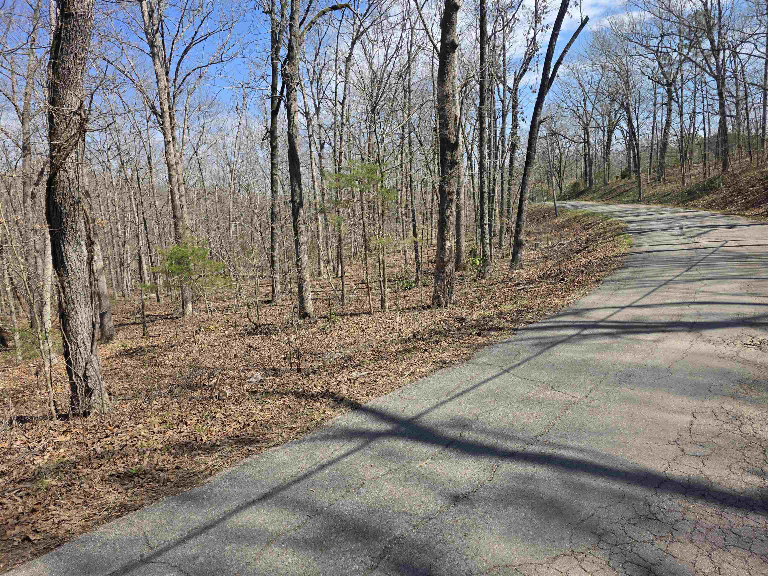 Photo 5 - Vacant Land for sale – L18 B4  Powhatan   Cherokee Village, AR