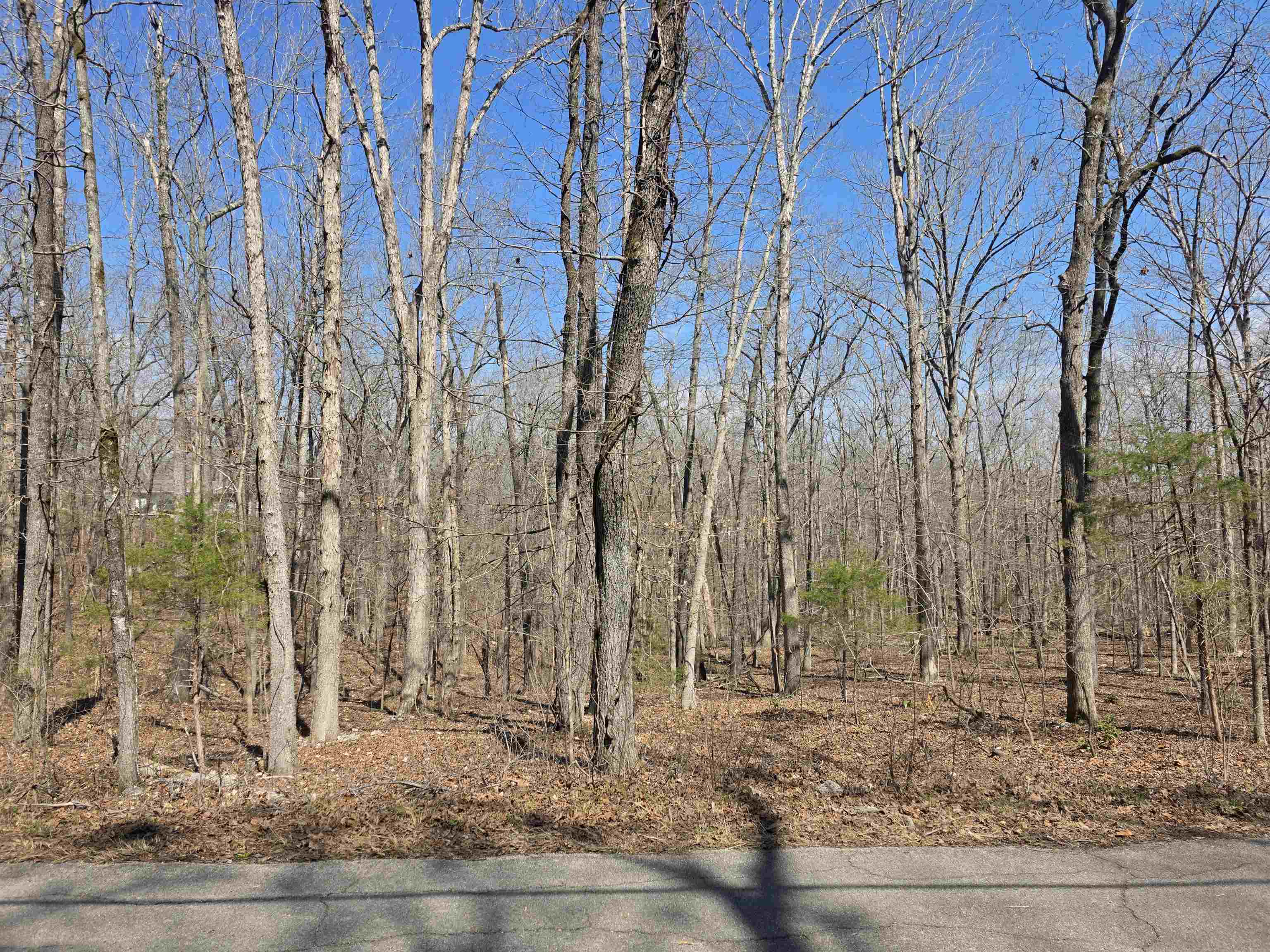 Photo 6 - Vacant Land for sale – L18 B4  Powhatan   Cherokee Village, AR