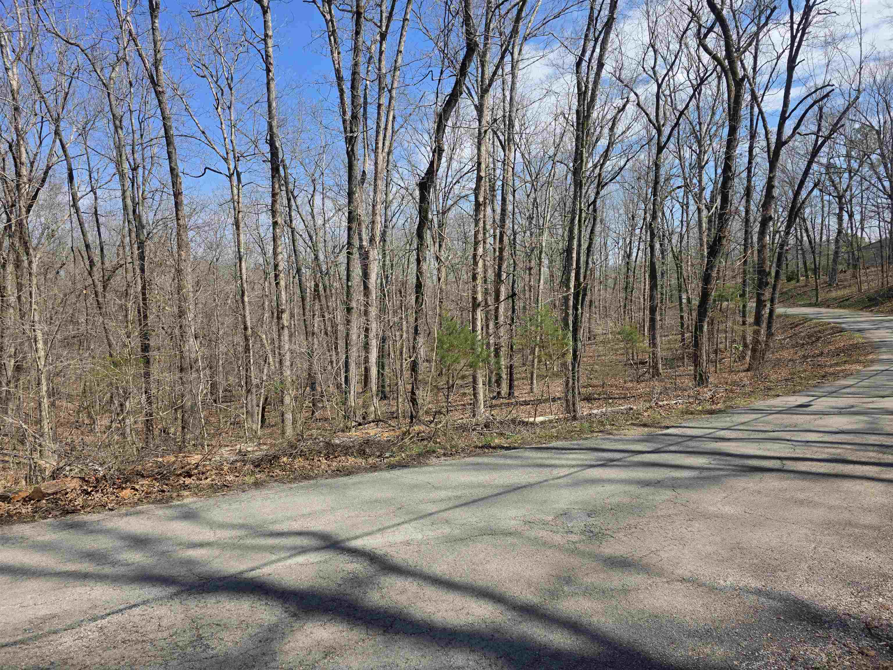 Photo 7 - Vacant Land for sale – L18 B4  Powhatan   Cherokee Village, AR