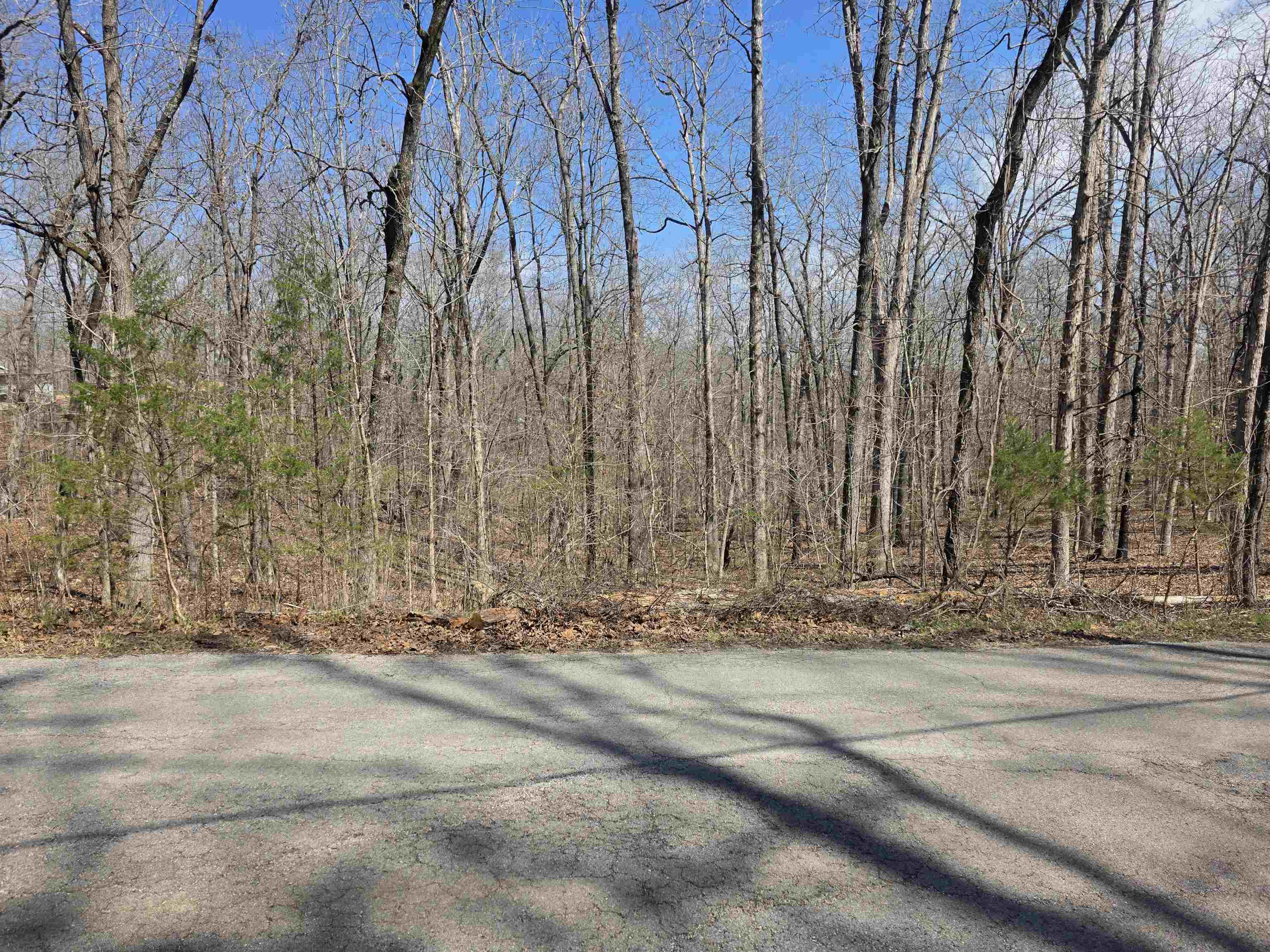 Photo 8 - Vacant Land for sale – L18 B4  Powhatan   Cherokee Village, AR