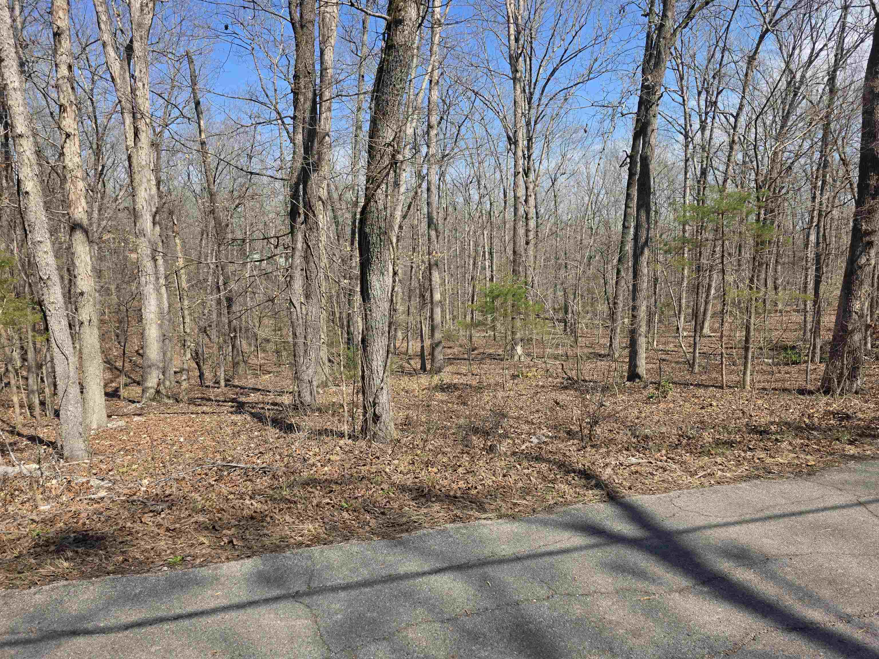 Photo 9 - Vacant Land for sale – L18 B4  Powhatan   Cherokee Village, AR