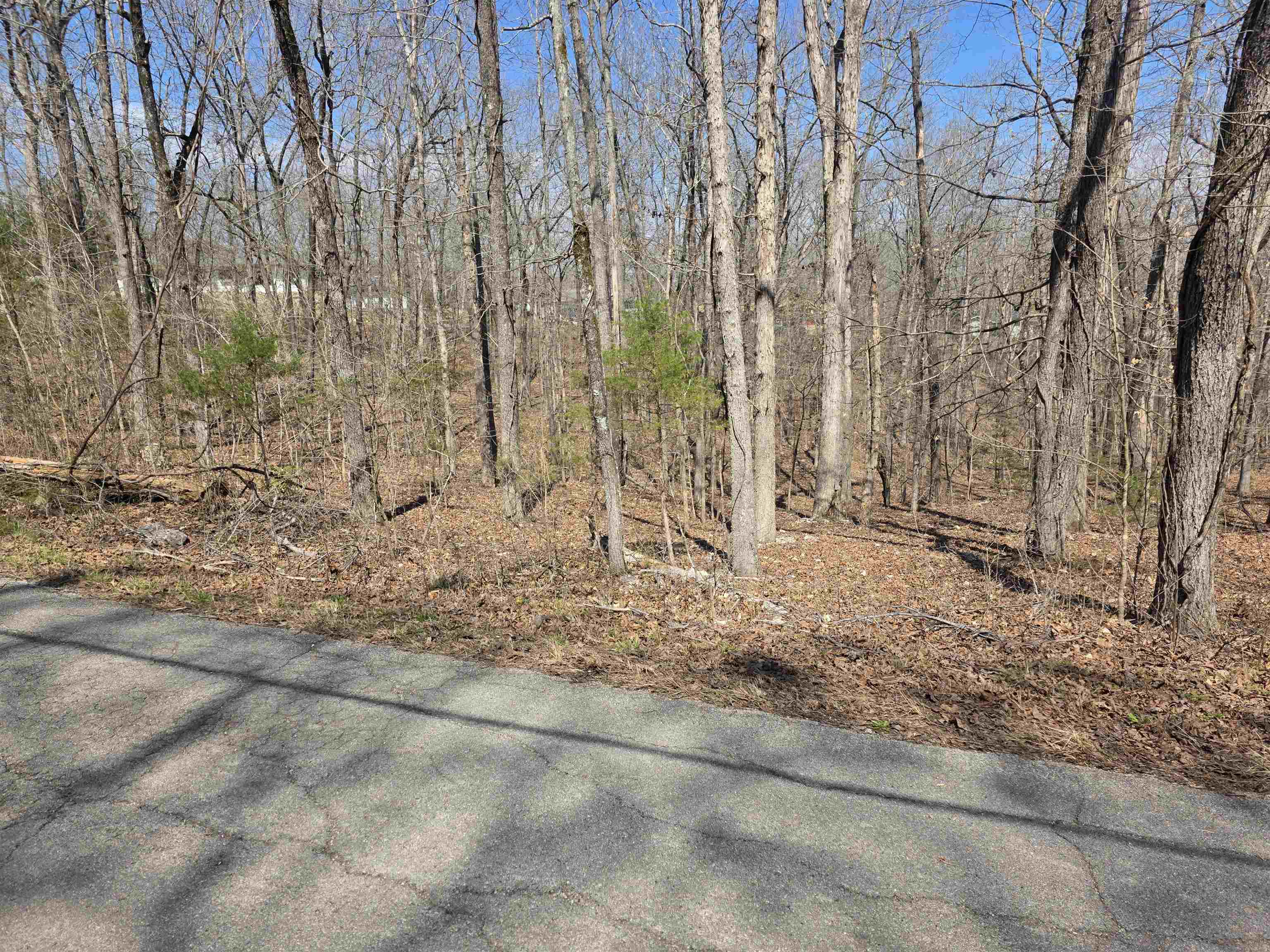 Photo 10 - Vacant Land for sale – L18 B4  Powhatan   Cherokee Village, AR