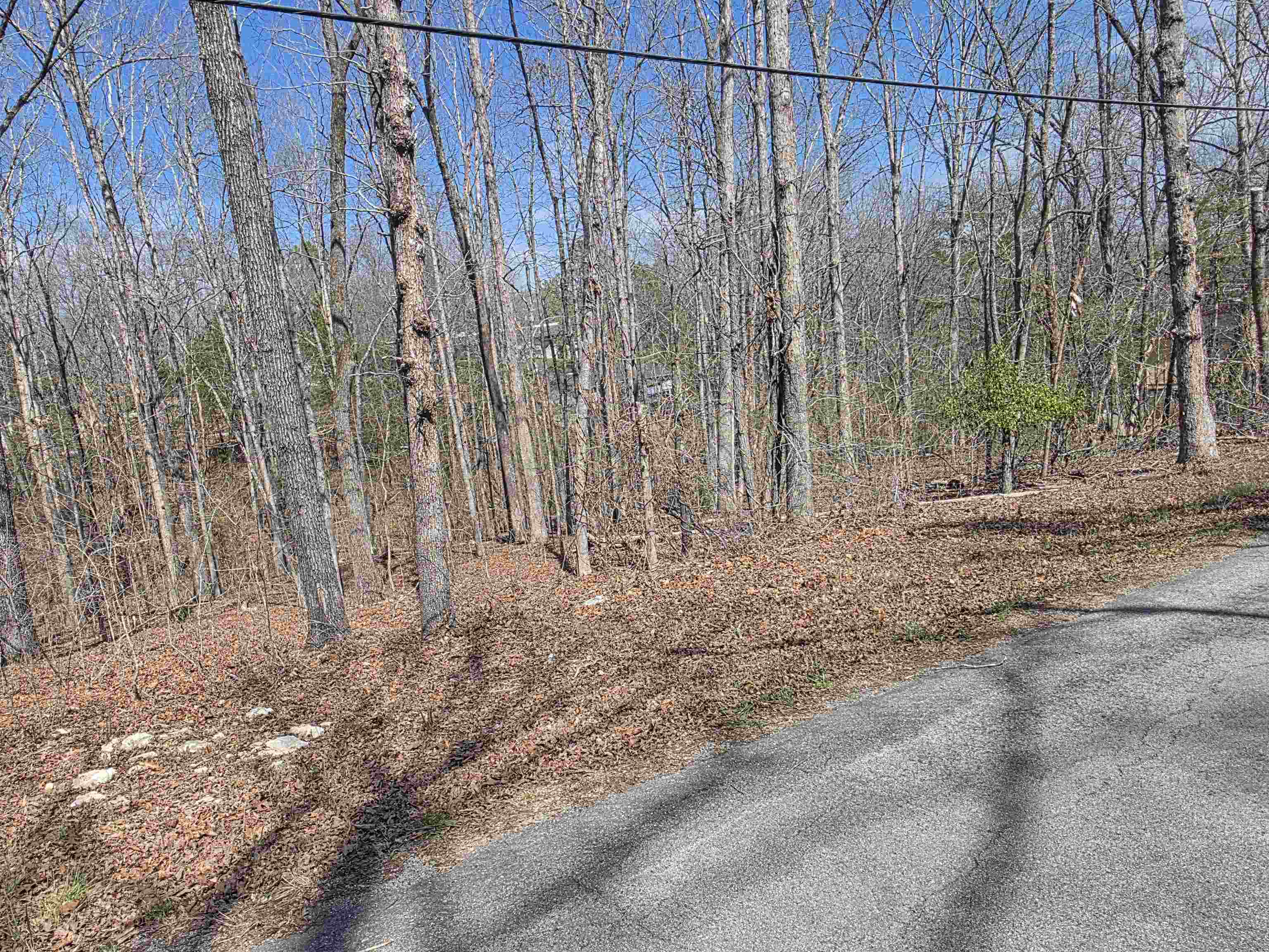 Photo 2 - Vacant Land for sale – L5 B4  Powhatan   Cherokee Village, AR