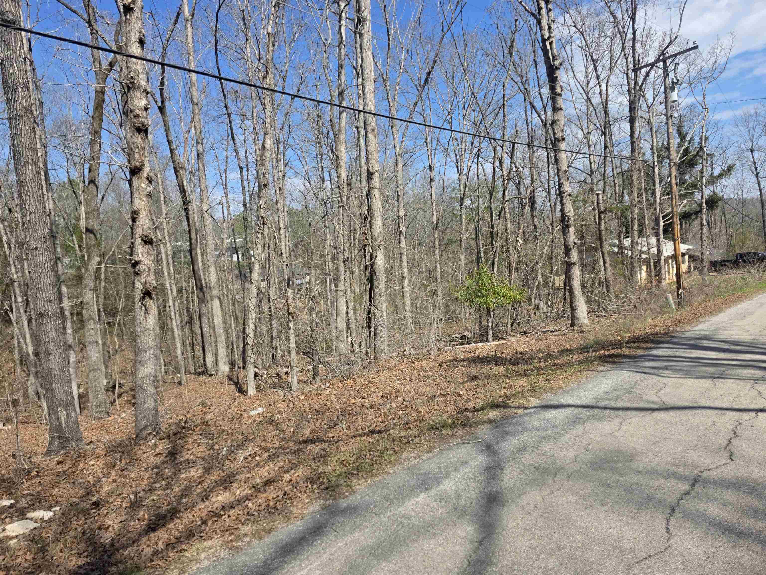 Photo 3 - Vacant Land for sale – L5 B4  Powhatan   Cherokee Village, AR