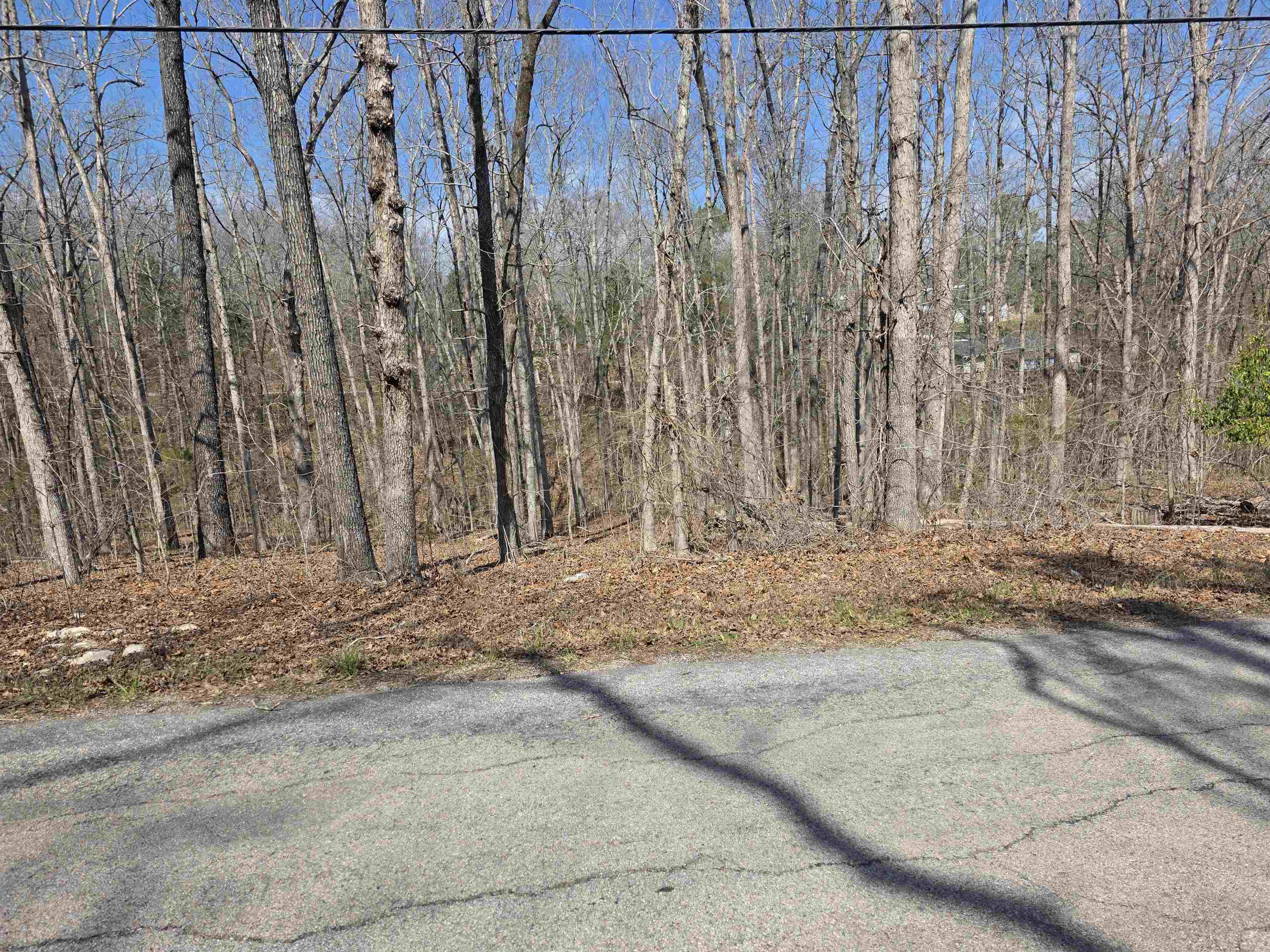 Photo 4 - Vacant Land for sale – L5 B4  Powhatan   Cherokee Village, AR
