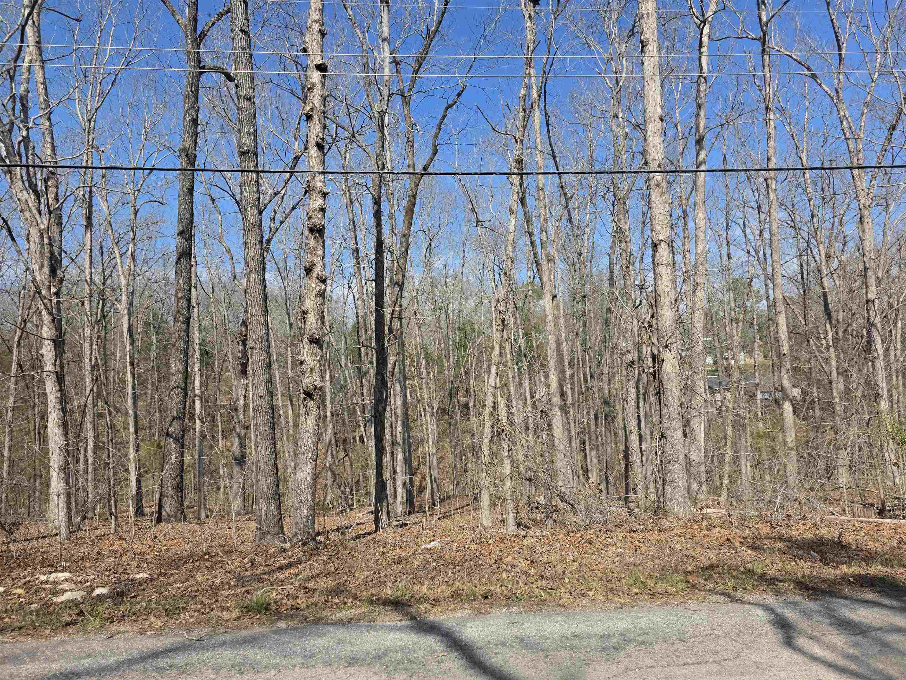 Photo 5 - Vacant Land for sale – L5 B4  Powhatan   Cherokee Village, AR