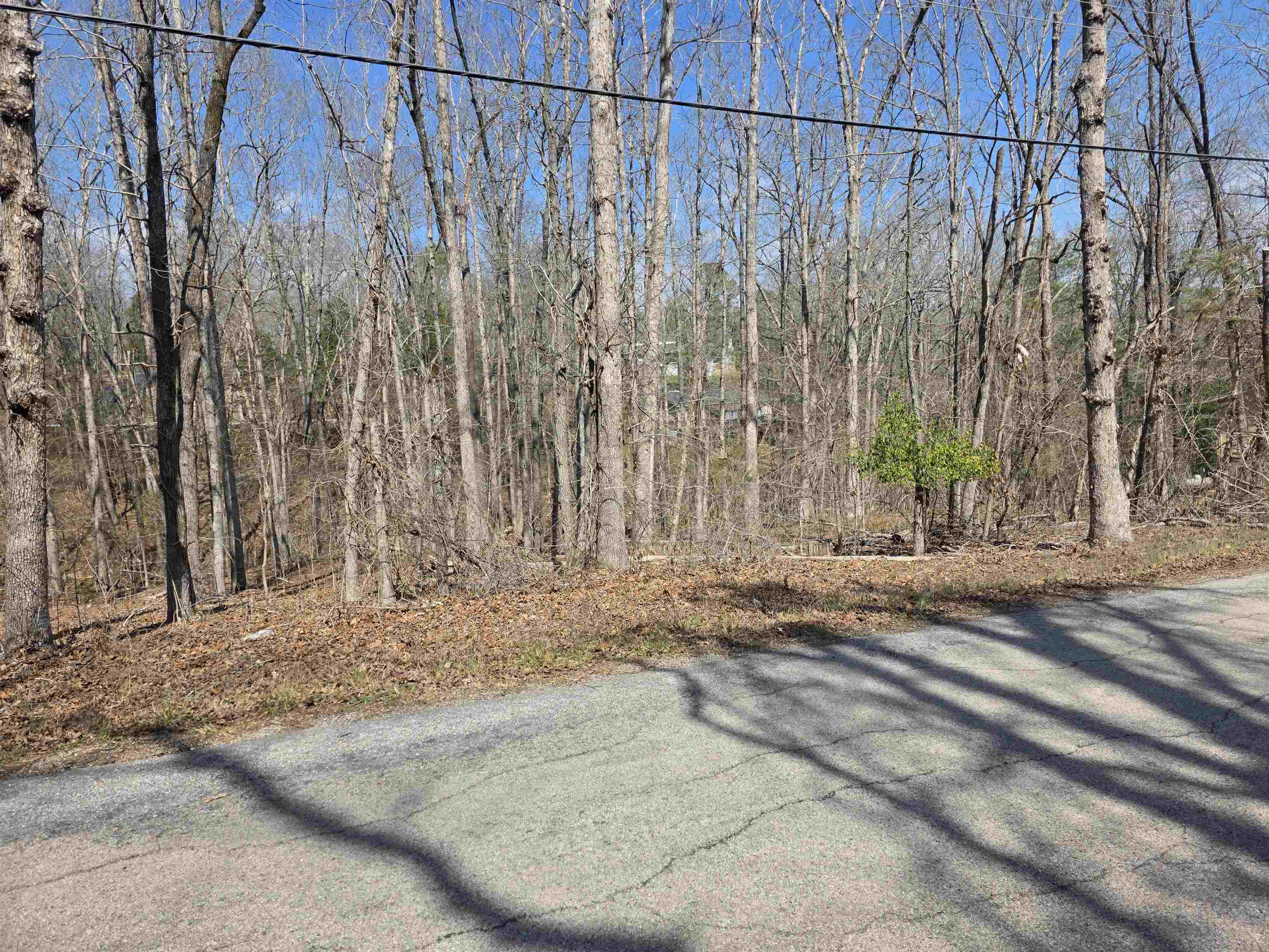 Photo 6 - Vacant Land for sale – L5 B4  Powhatan   Cherokee Village, AR
