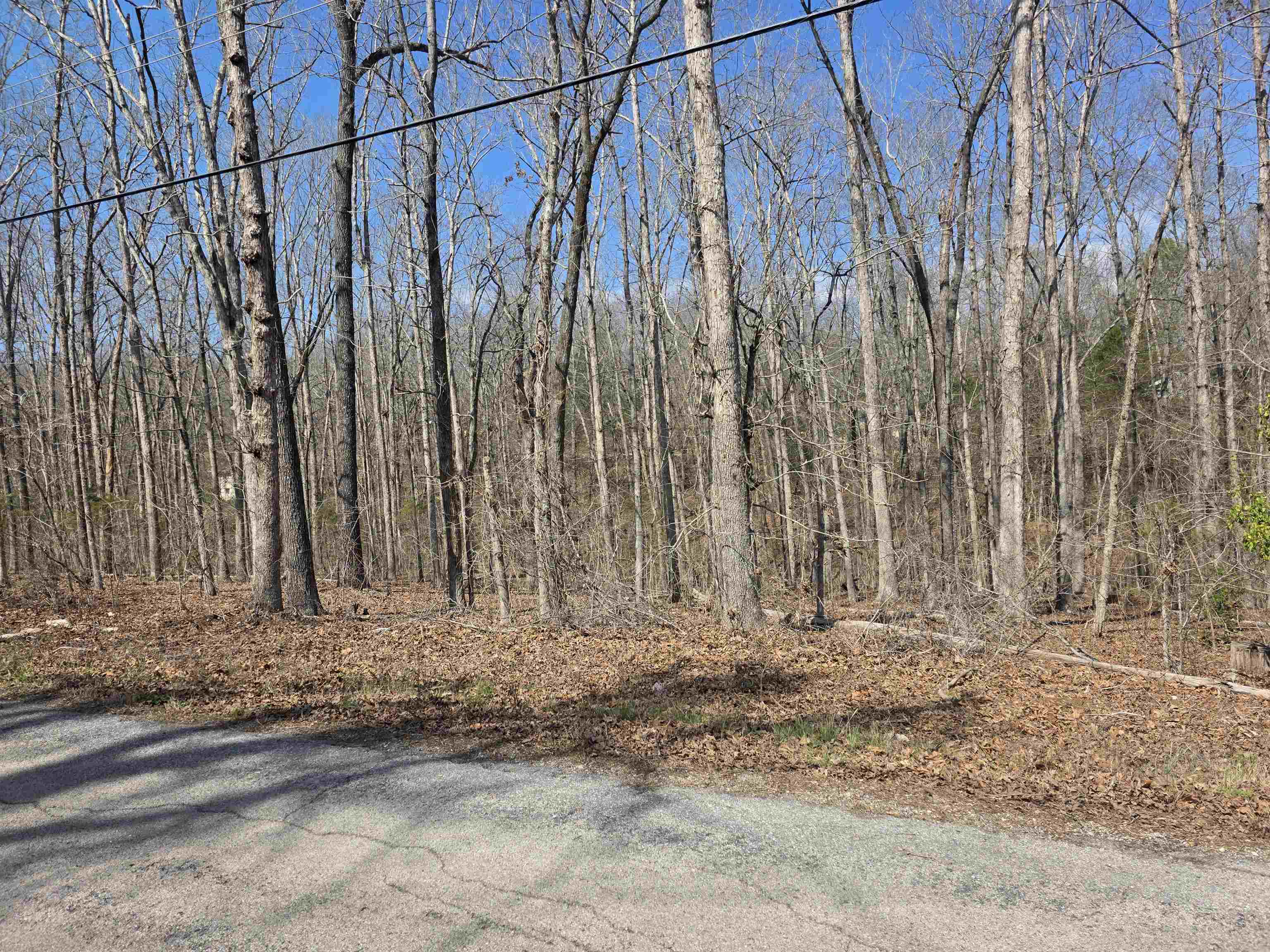 Photo 7 - Vacant Land for sale – L5 B4  Powhatan   Cherokee Village, AR